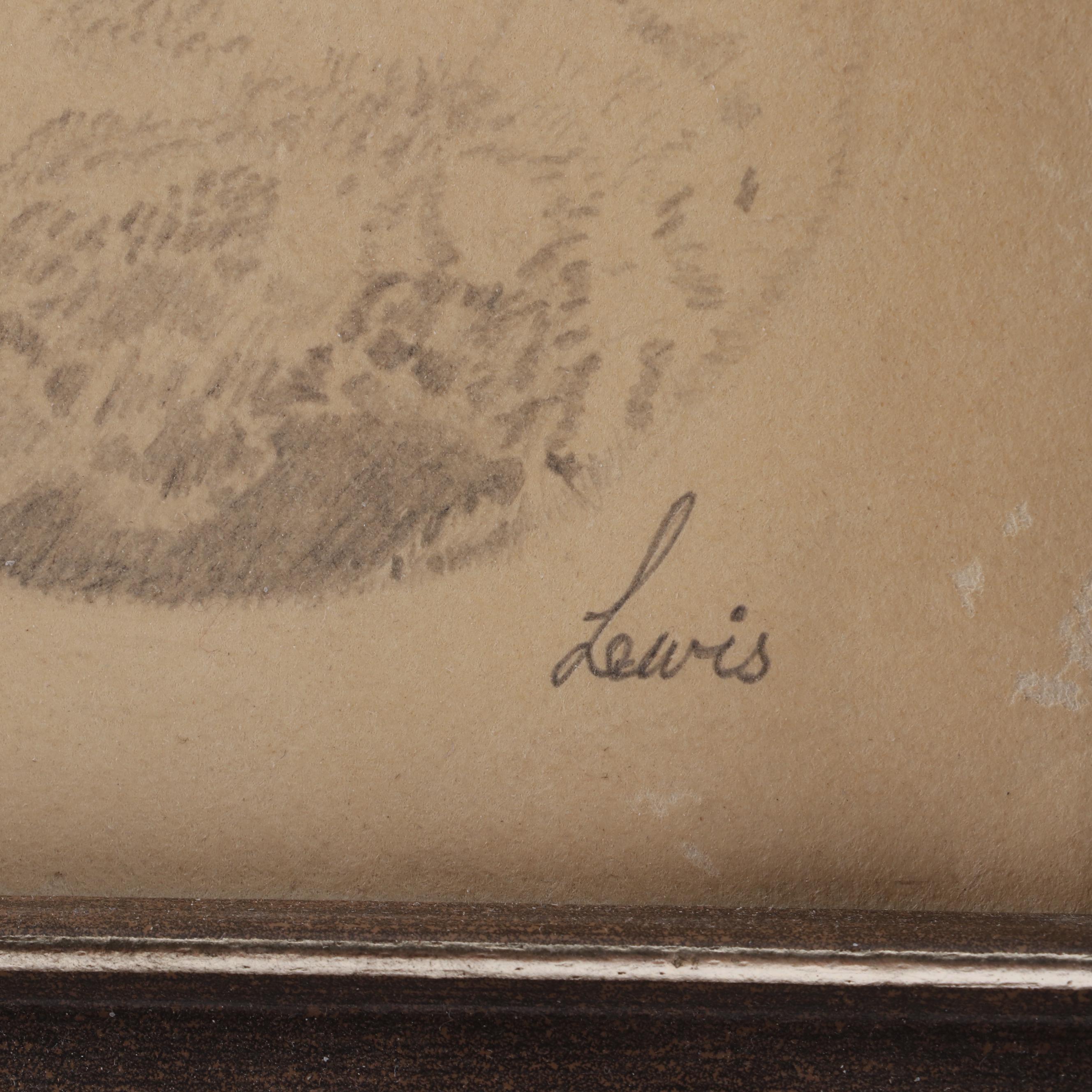 Martin Lewis Koala Drawing