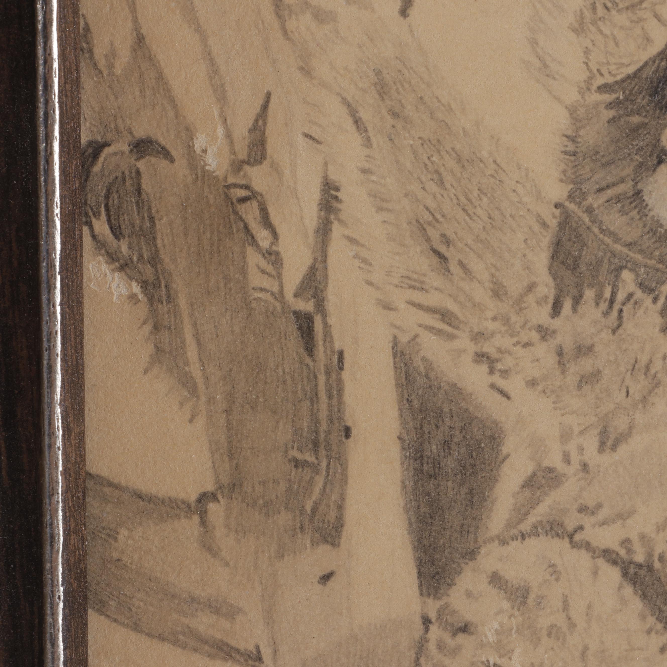 Martin Lewis Koala Drawing