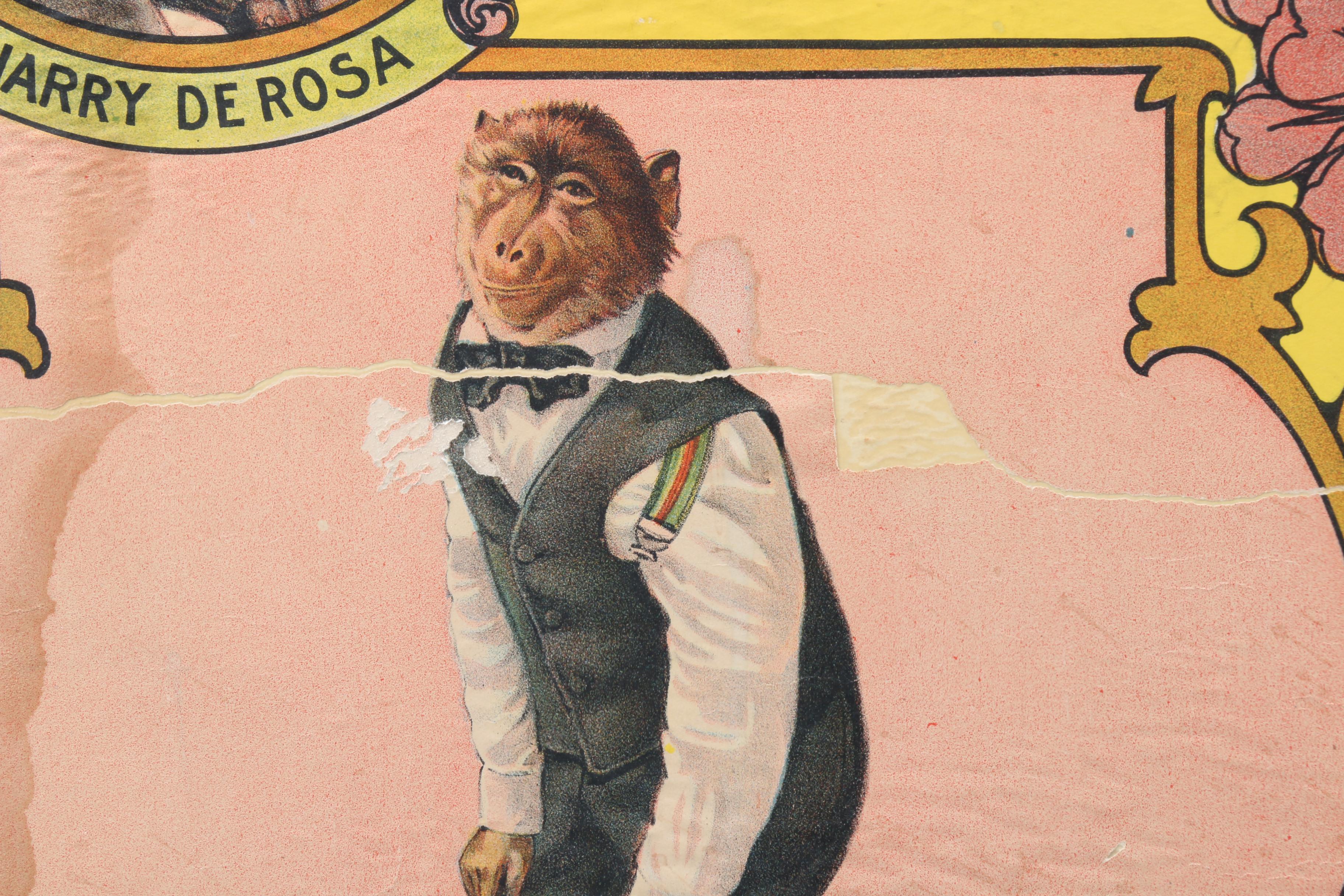 "America's Greatest Monkey Contest" Color Lithograph Advertisement