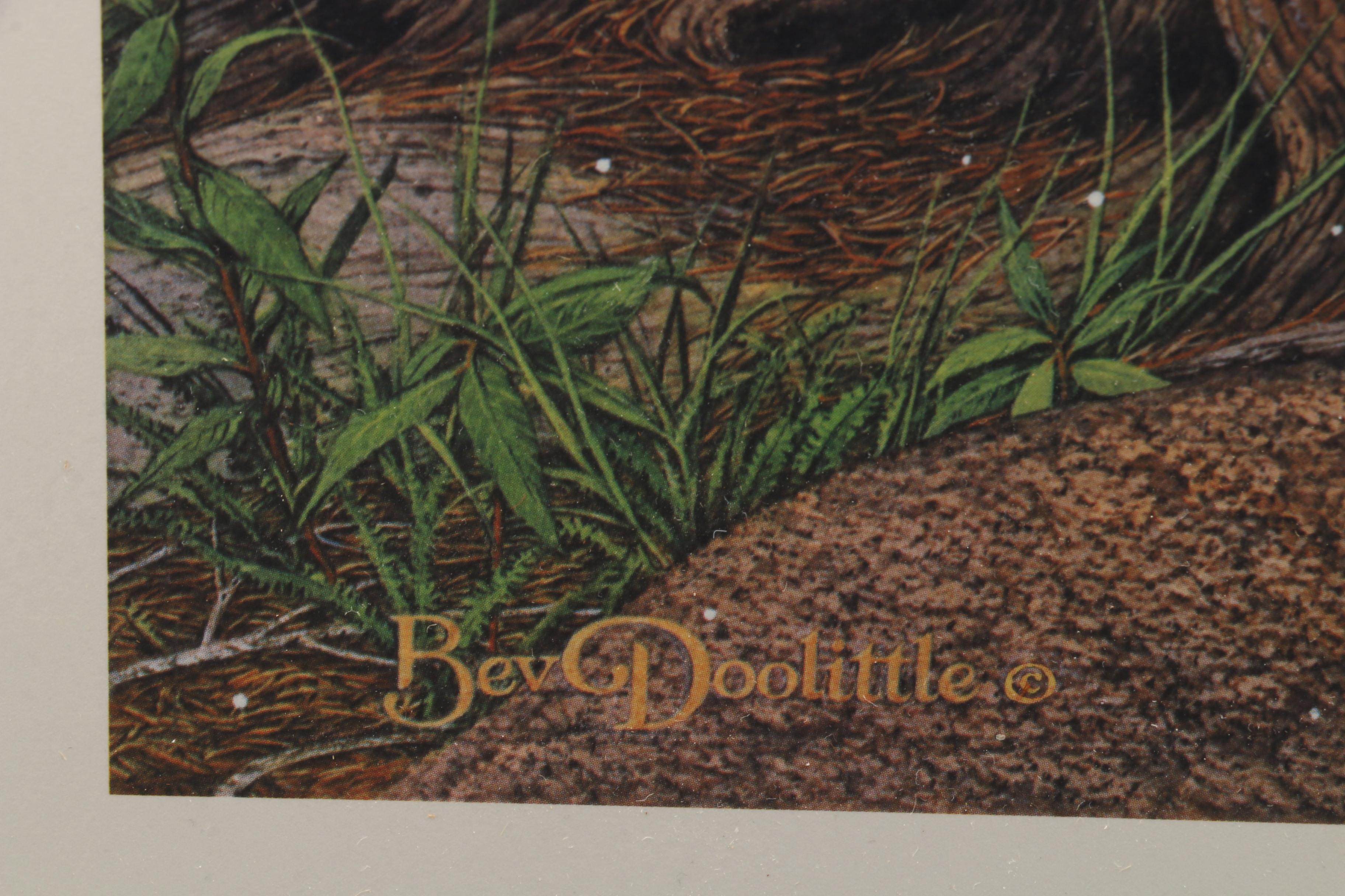 Bev Doolittle Limited Edition Offset Lithograph "Prayer for the Wild Things"