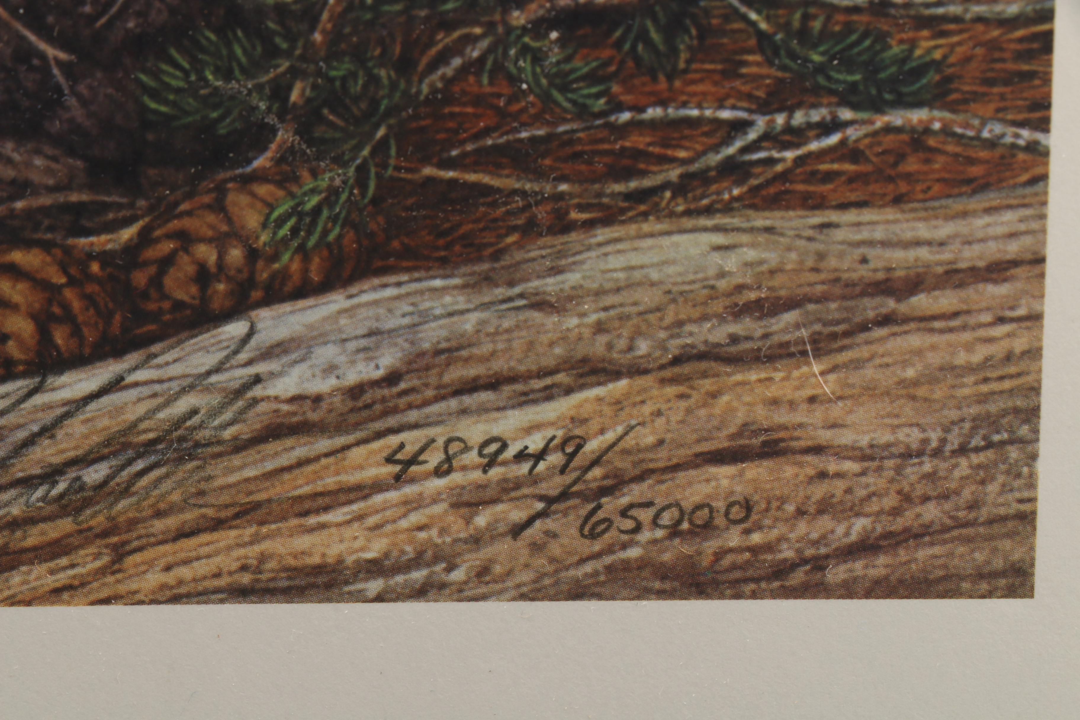 Bev Doolittle Limited Edition Offset Lithograph "Prayer for the Wild Things"