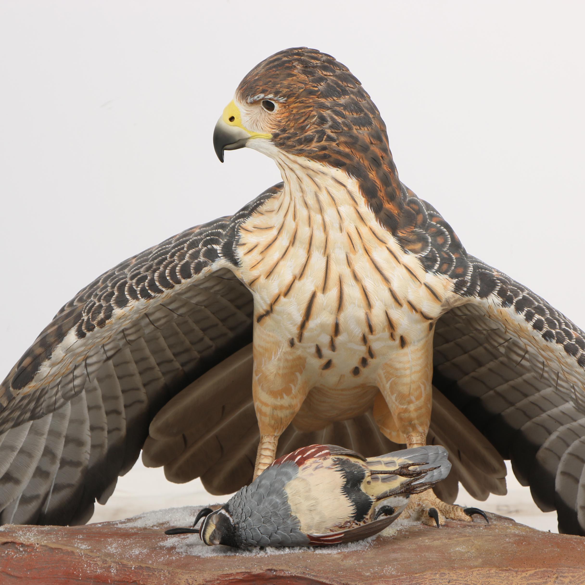 "Red-Tailed Hawk" Wood-Carved Sculpture by William Bishop