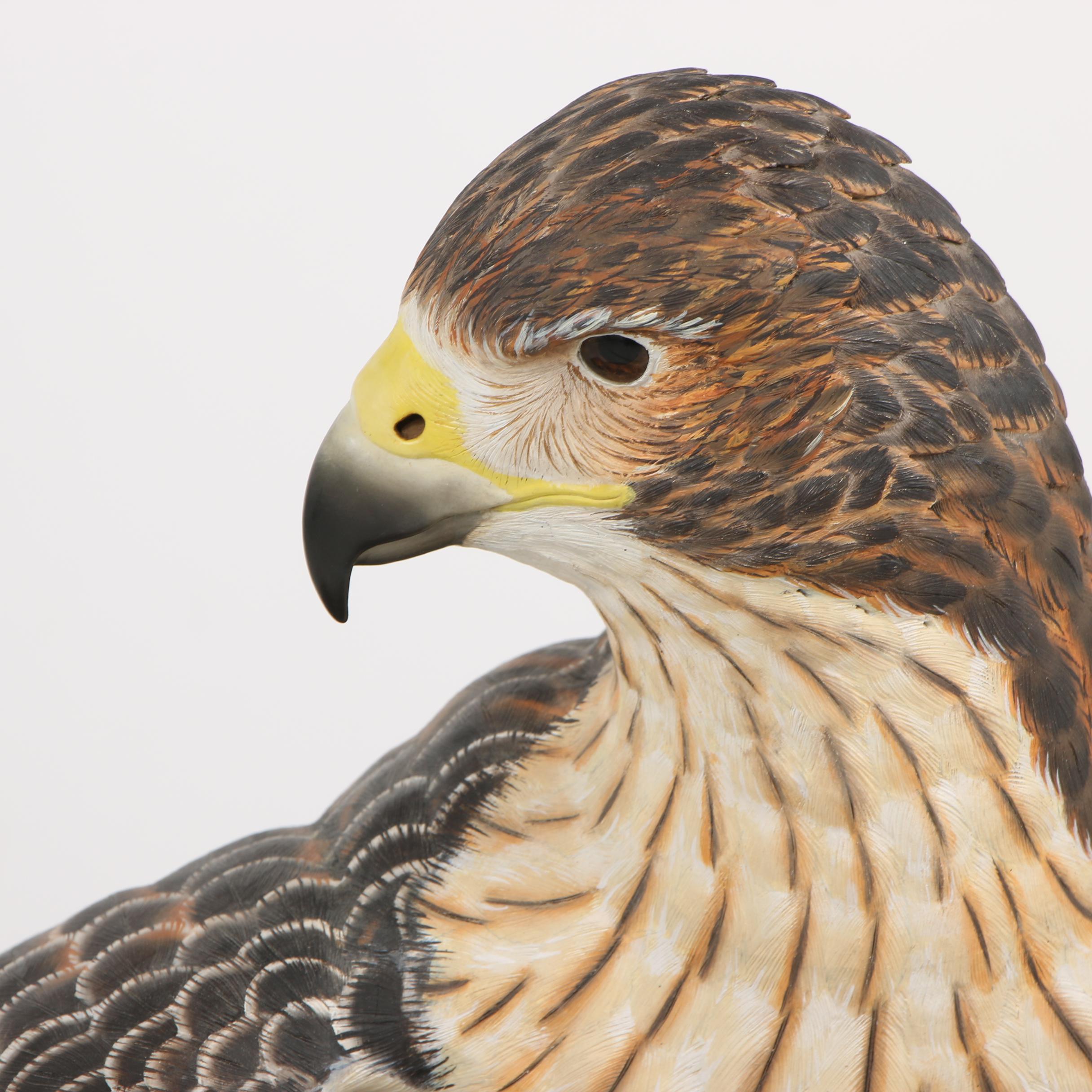 "Red-Tailed Hawk" Wood-Carved Sculpture by William Bishop