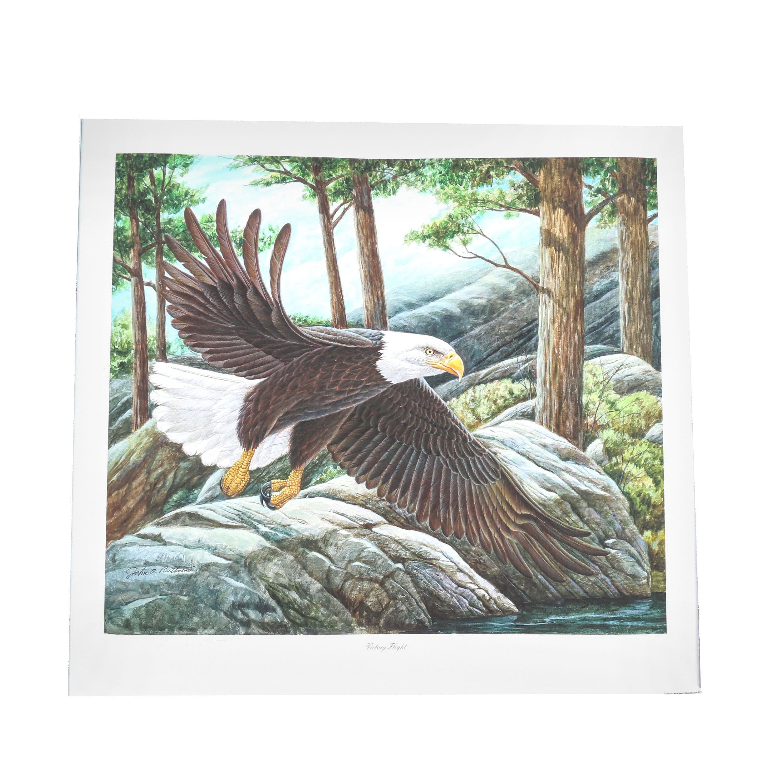 John Ruthven Limited Edition Giclée "Victory Flight"