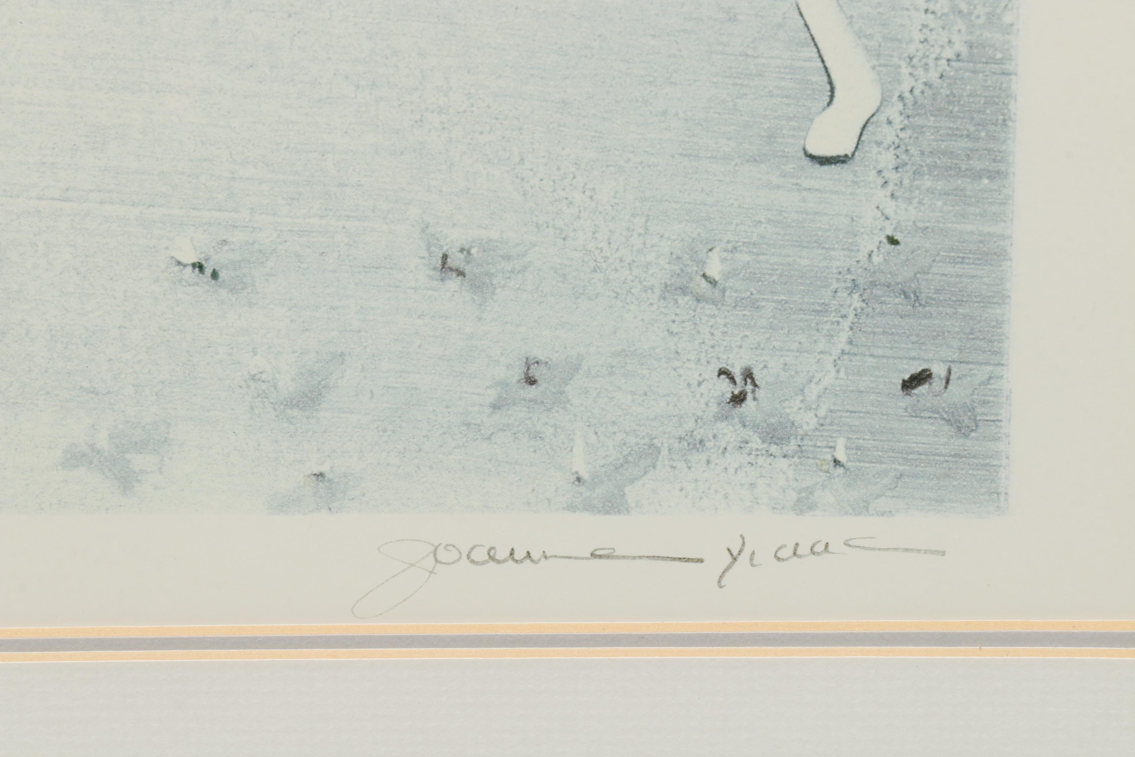 Joanne Isaac Offset Lithographs of Flowers in Vases