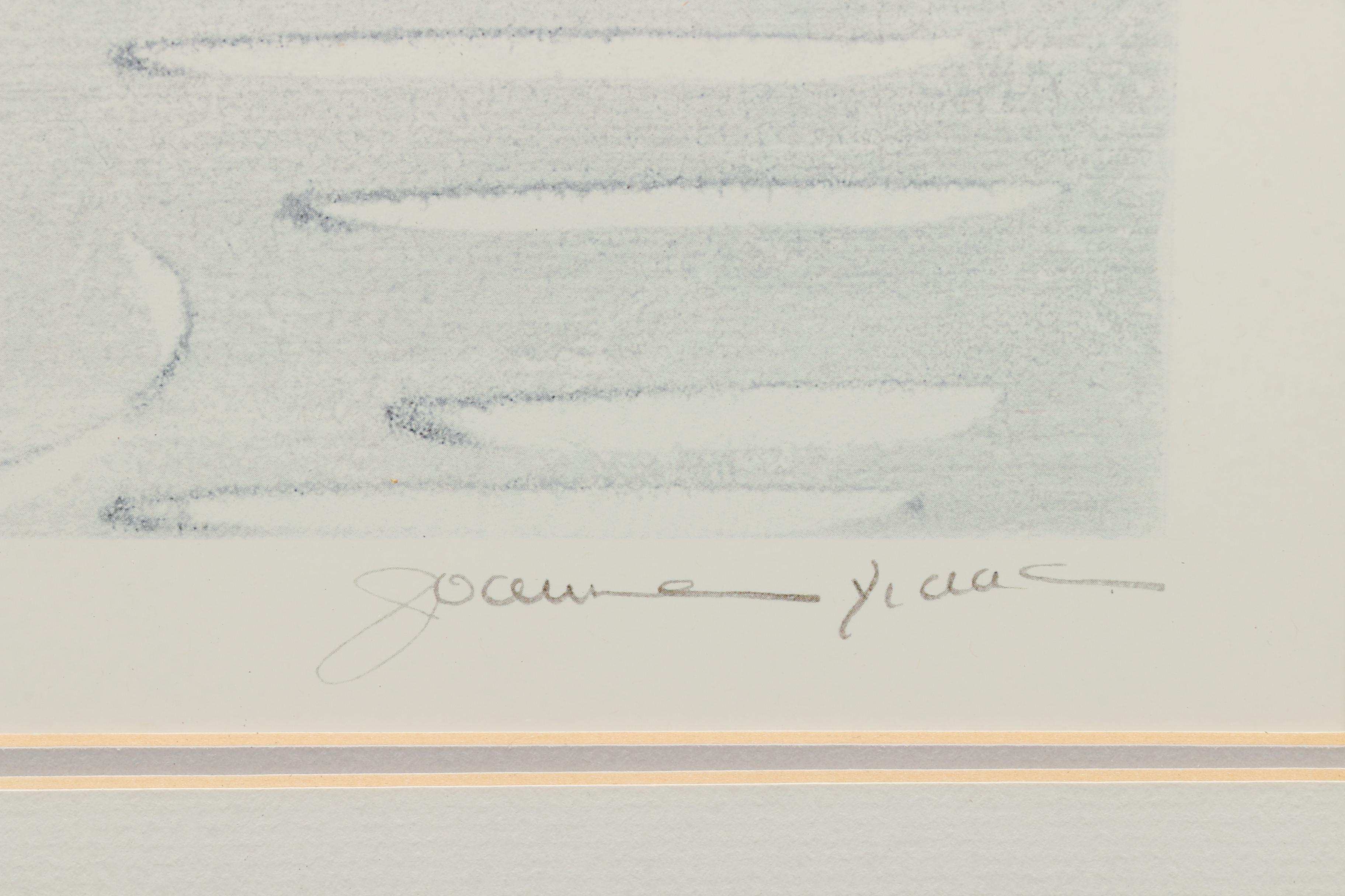 Joanne Isaac Offset Lithographs of Flowers in Vases