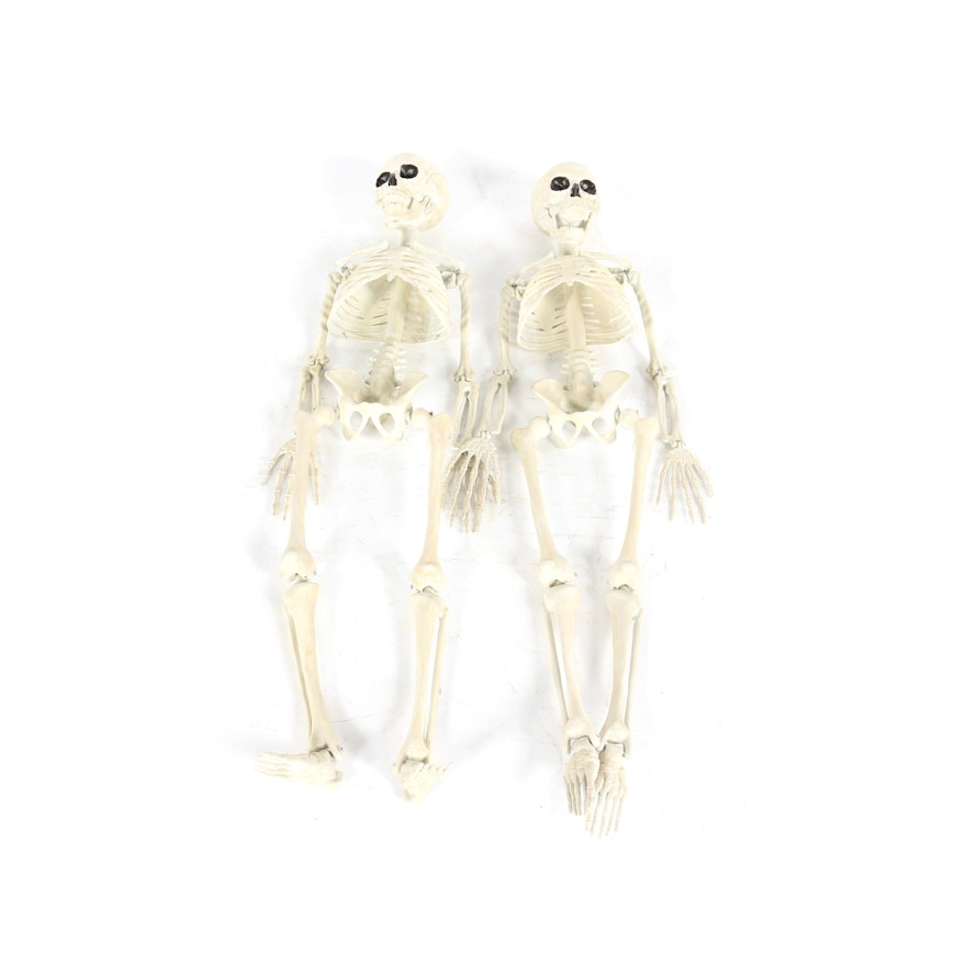 Halloween Decor and Accessories