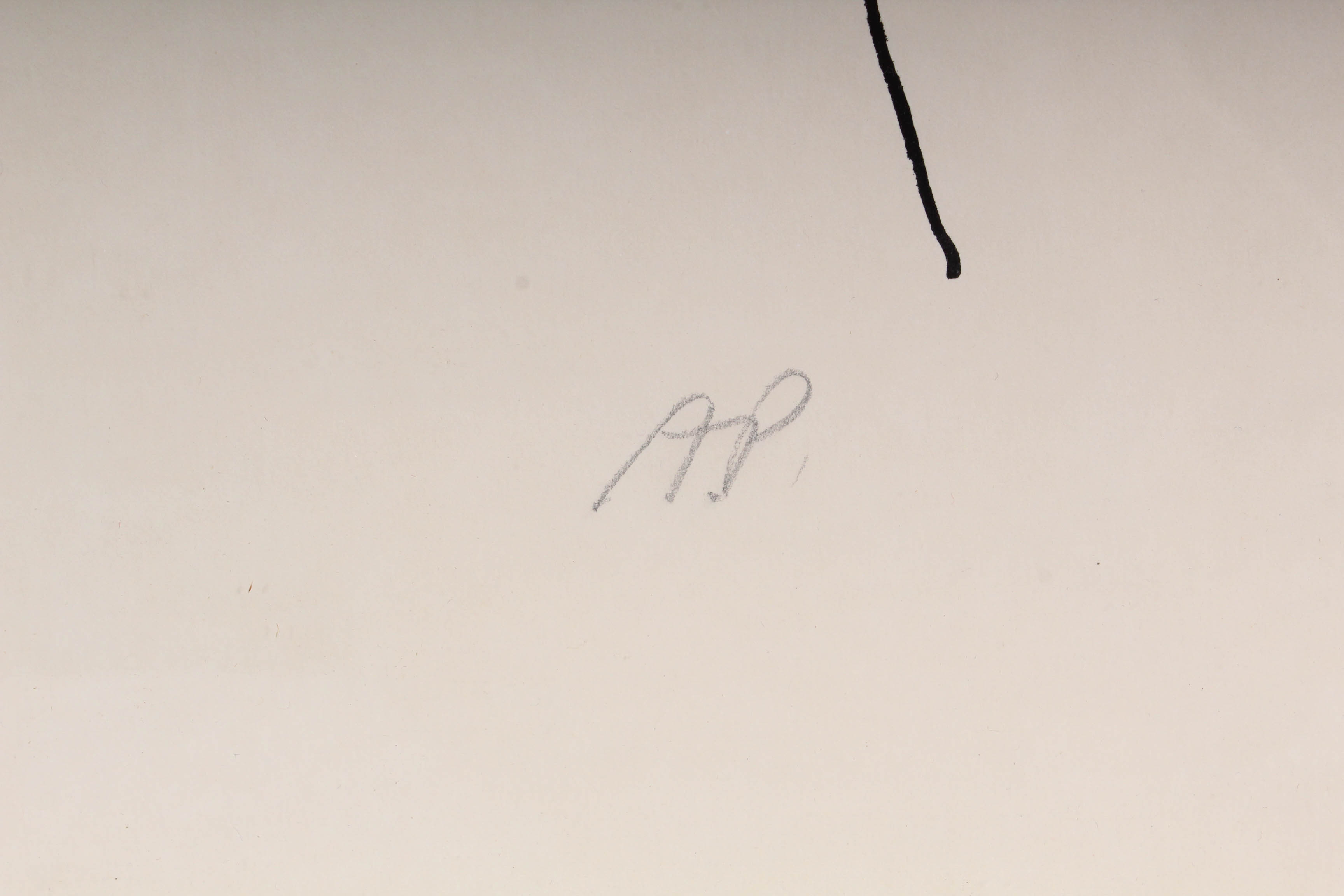 Gail Susan Artist Proof Lithograph