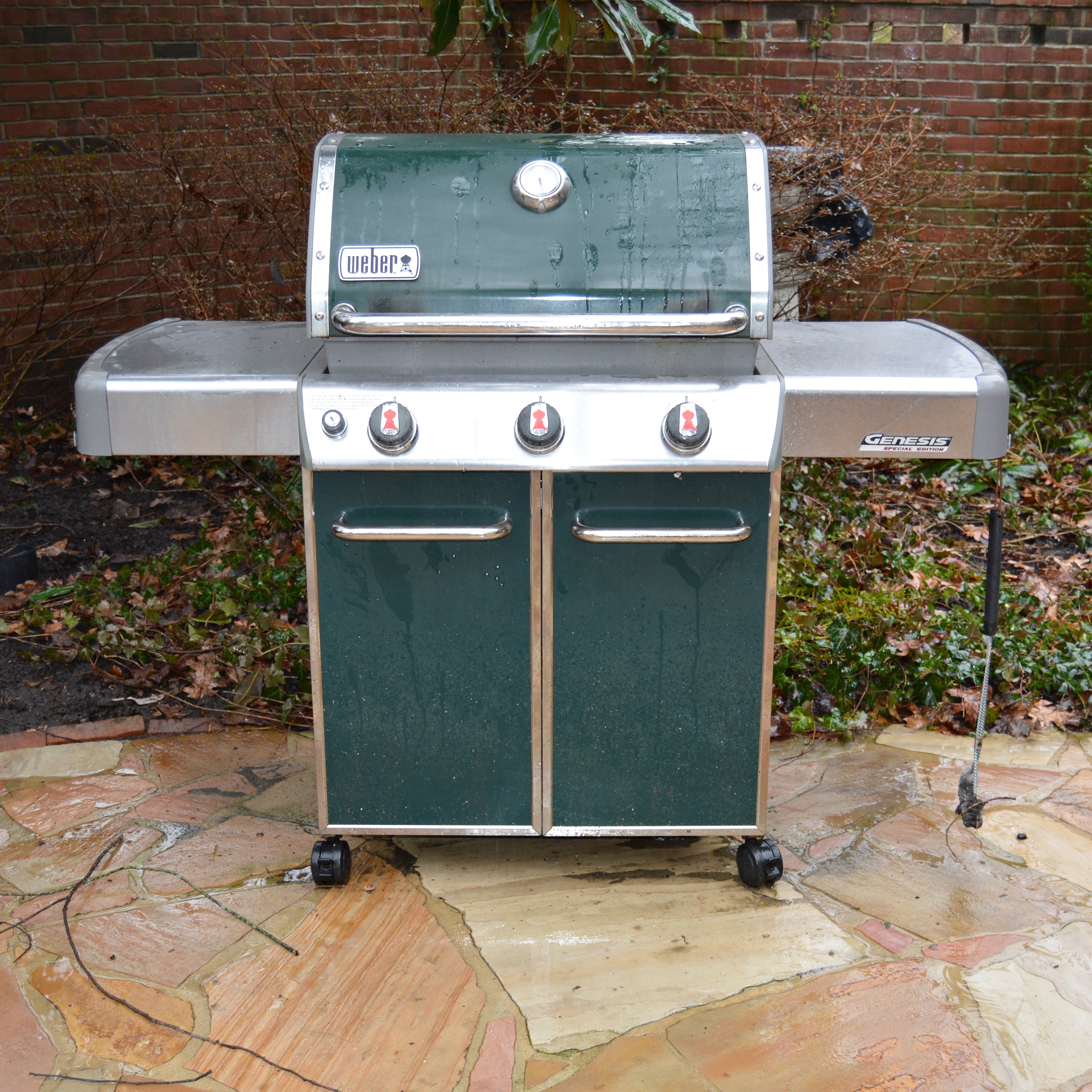 Weber Genesis Special Edition Gas Grill