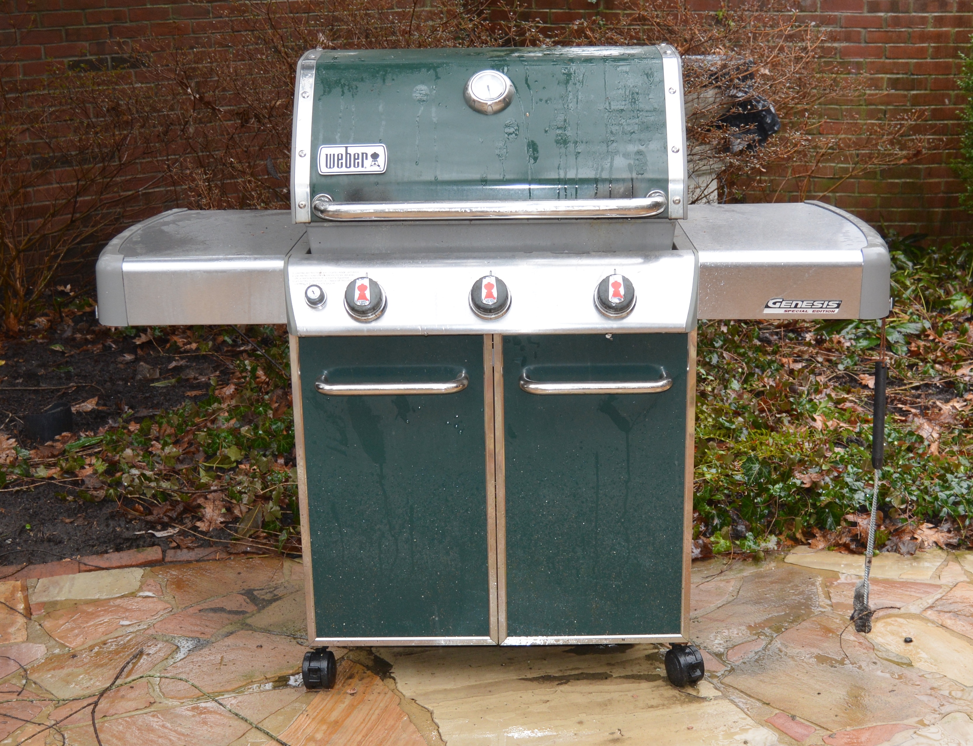 Weber Genesis Special Edition Gas Grill