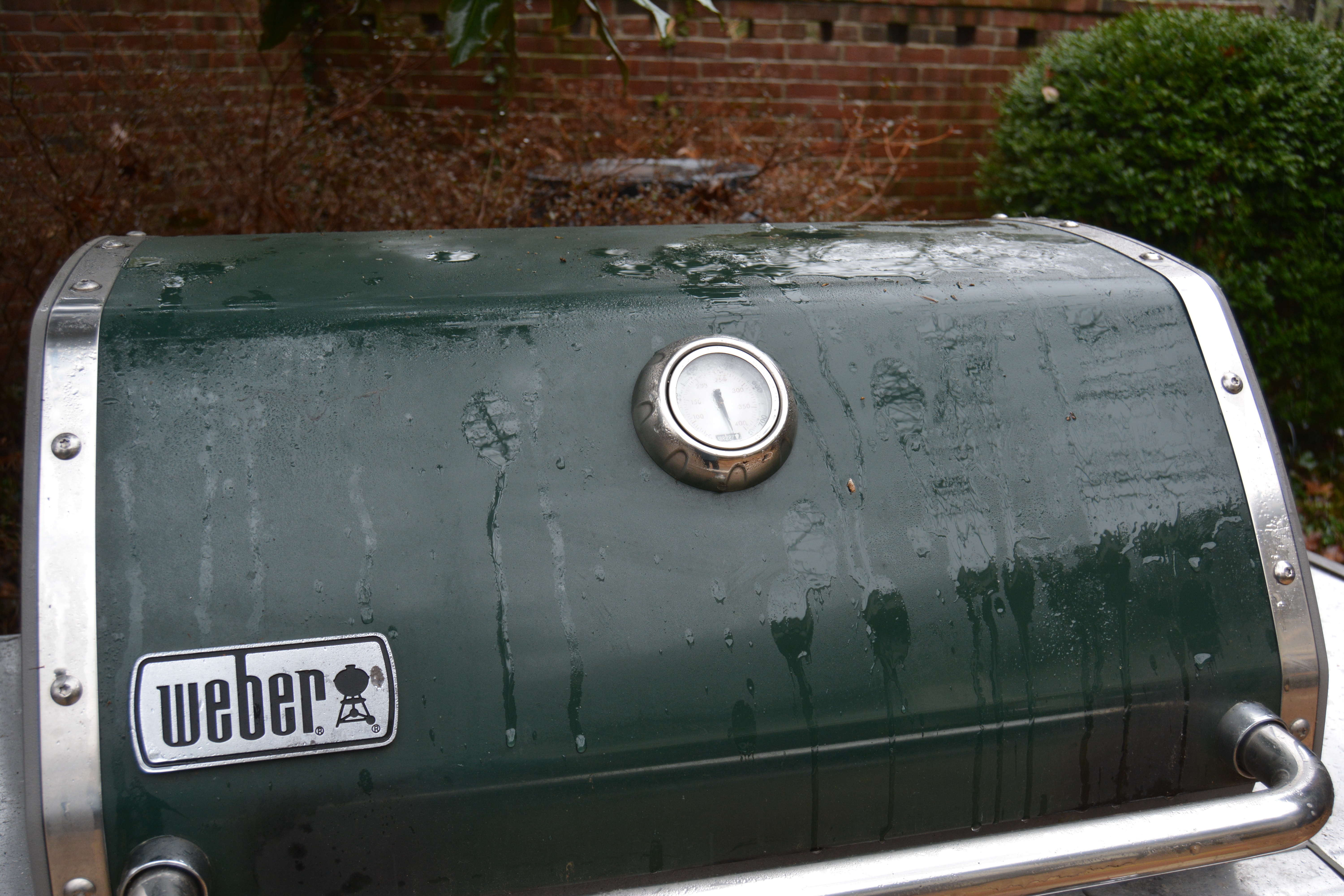 Weber Genesis Special Edition Gas Grill