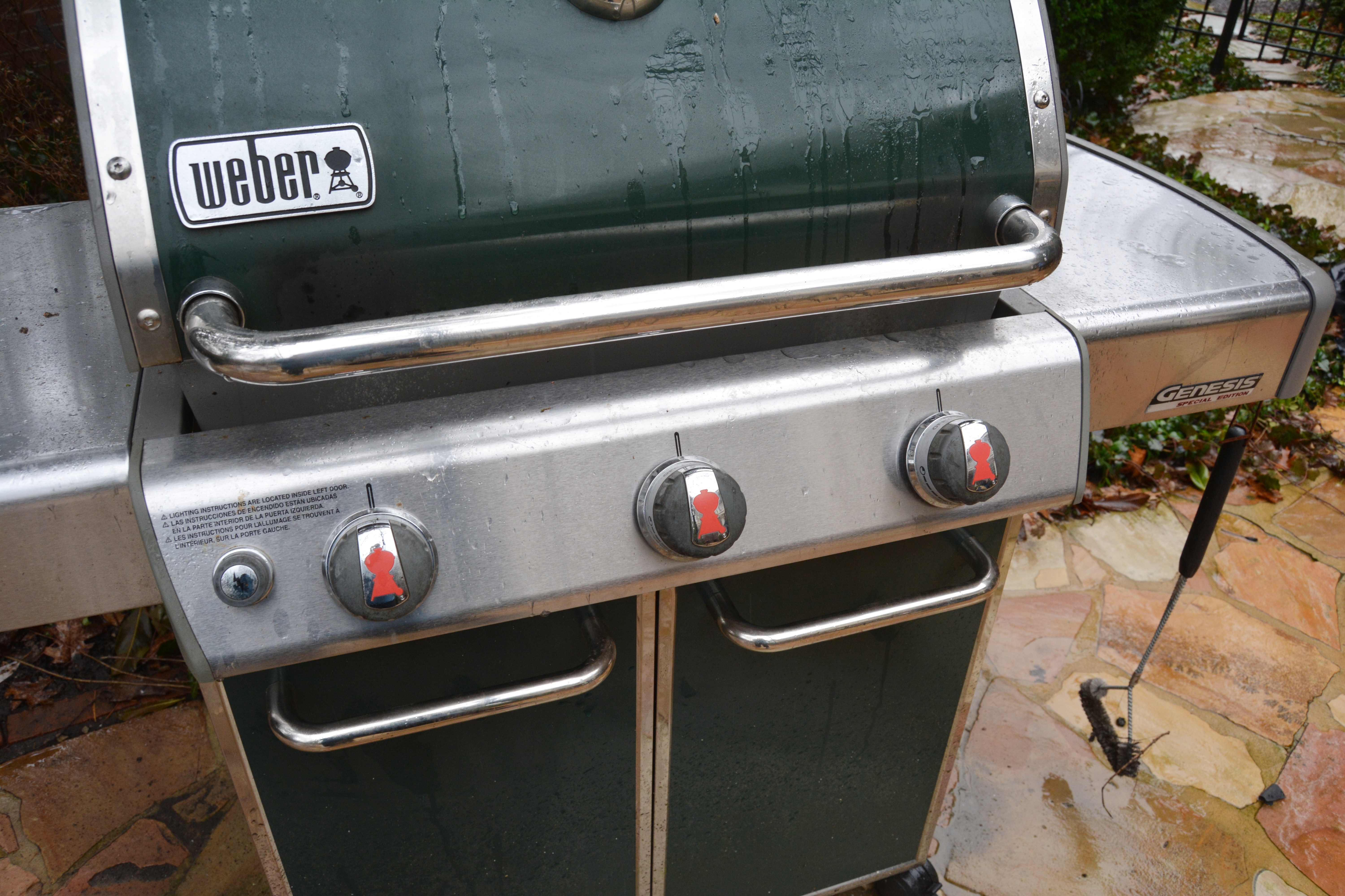 Weber Genesis Special Edition Gas Grill