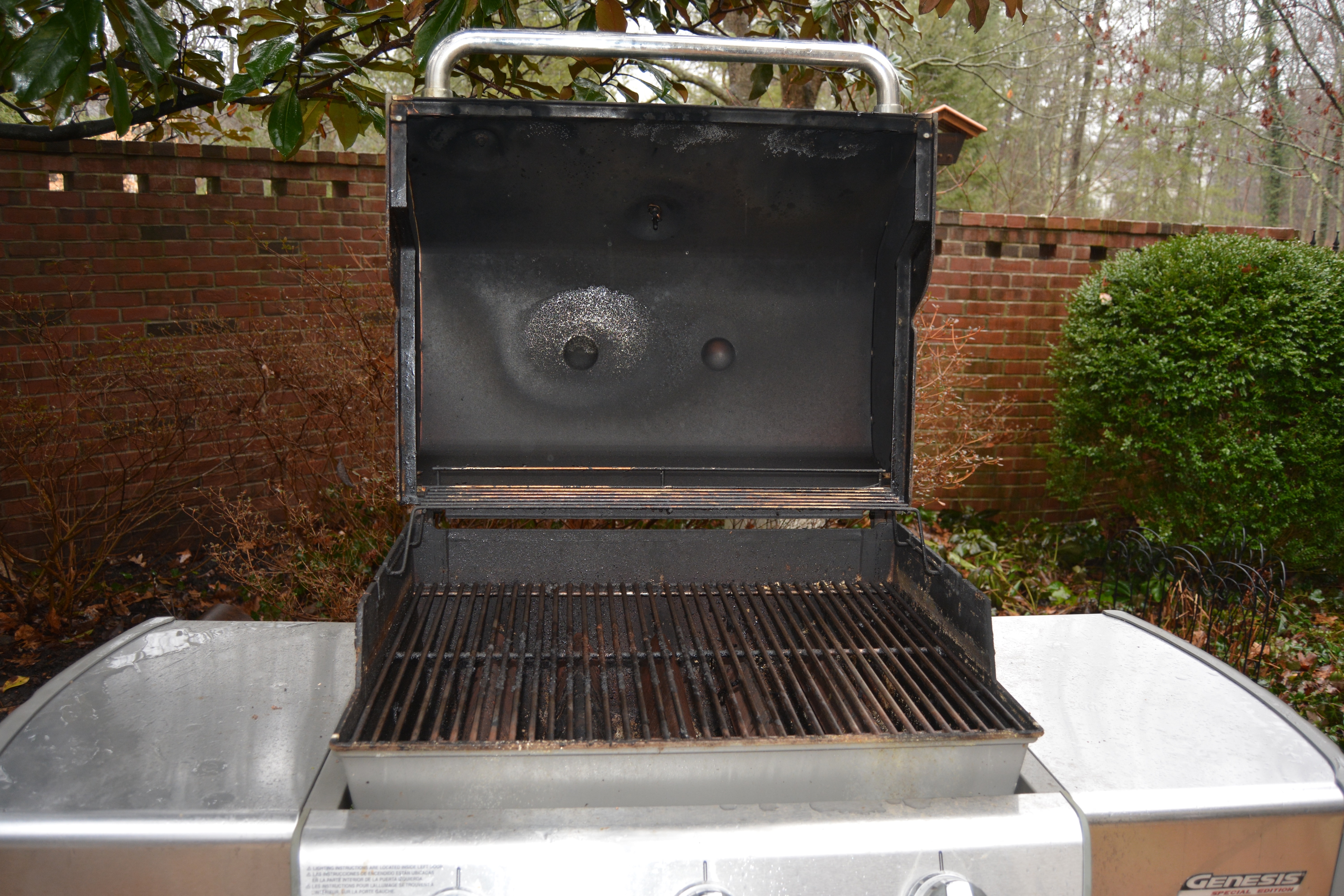 Weber Genesis Special Edition Gas Grill
