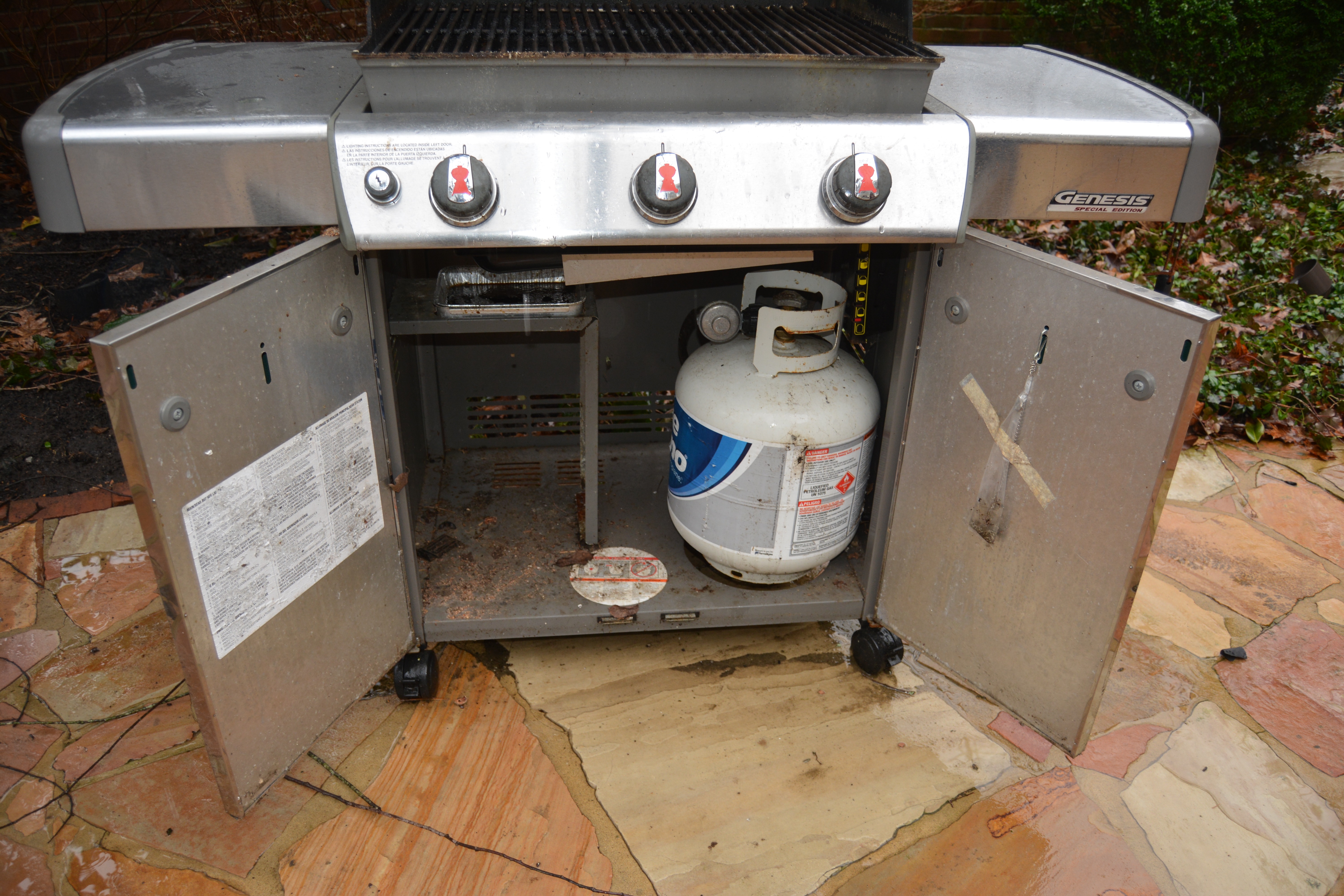 Weber Genesis Special Edition Gas Grill