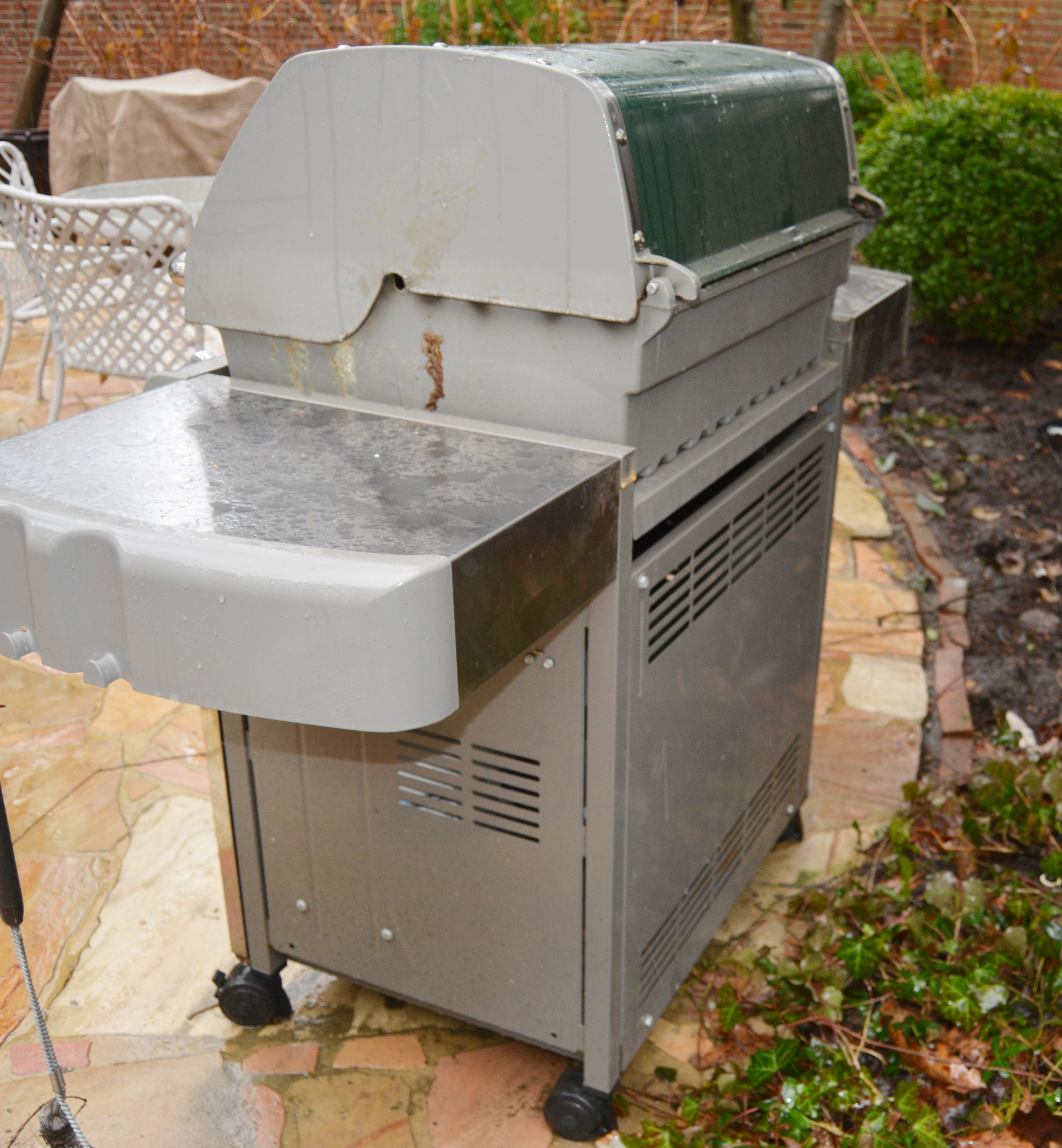 Weber Genesis Special Edition Gas Grill