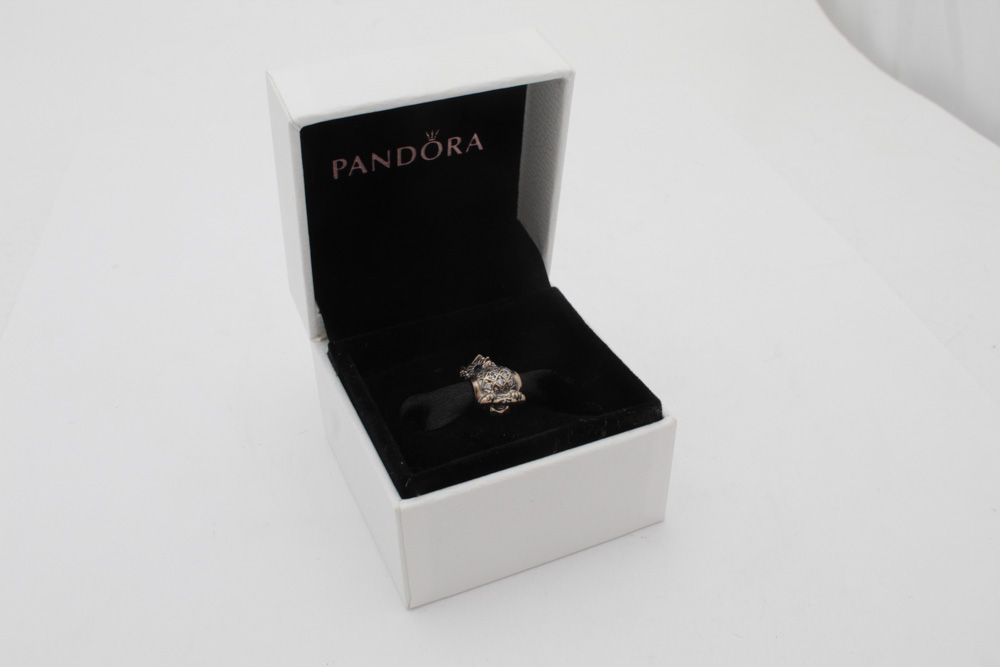 Pandora Sterling Silver Owl Graduate Charm