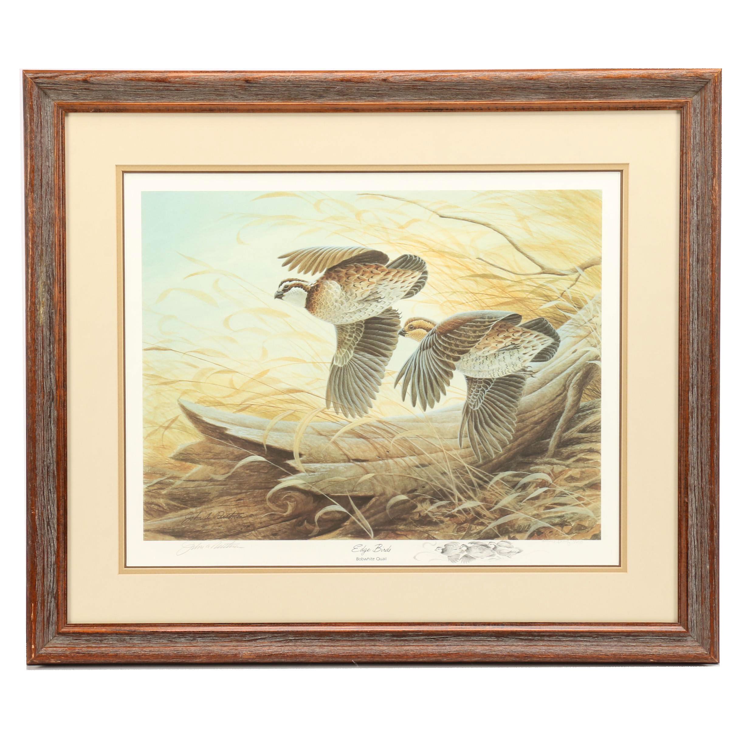 John Ruthven Offset Lithograph after "Edge Birds: Bobwhite Quail"