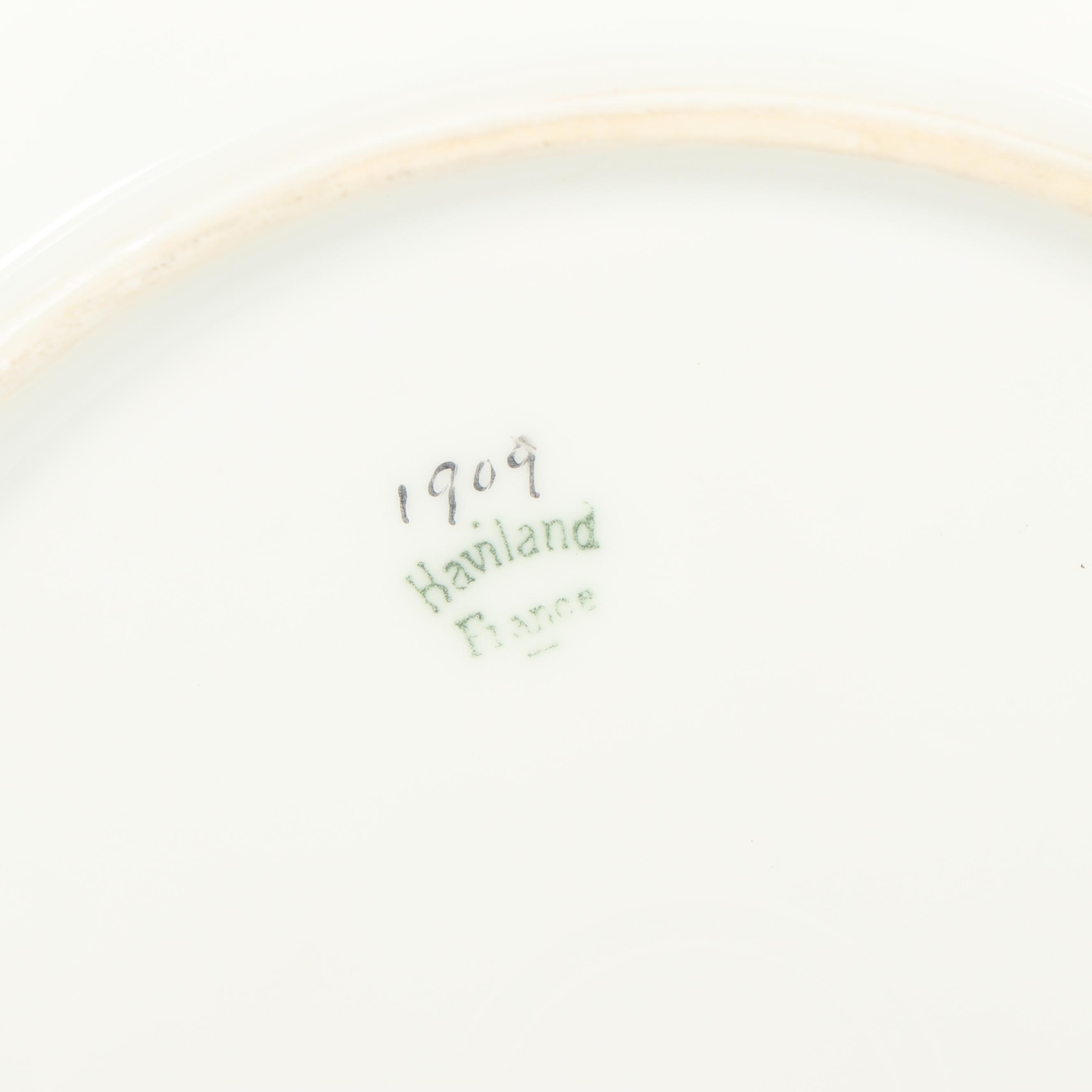 Haviland Limoges Hobbyist Painted Porcelain Plates in Display Cases