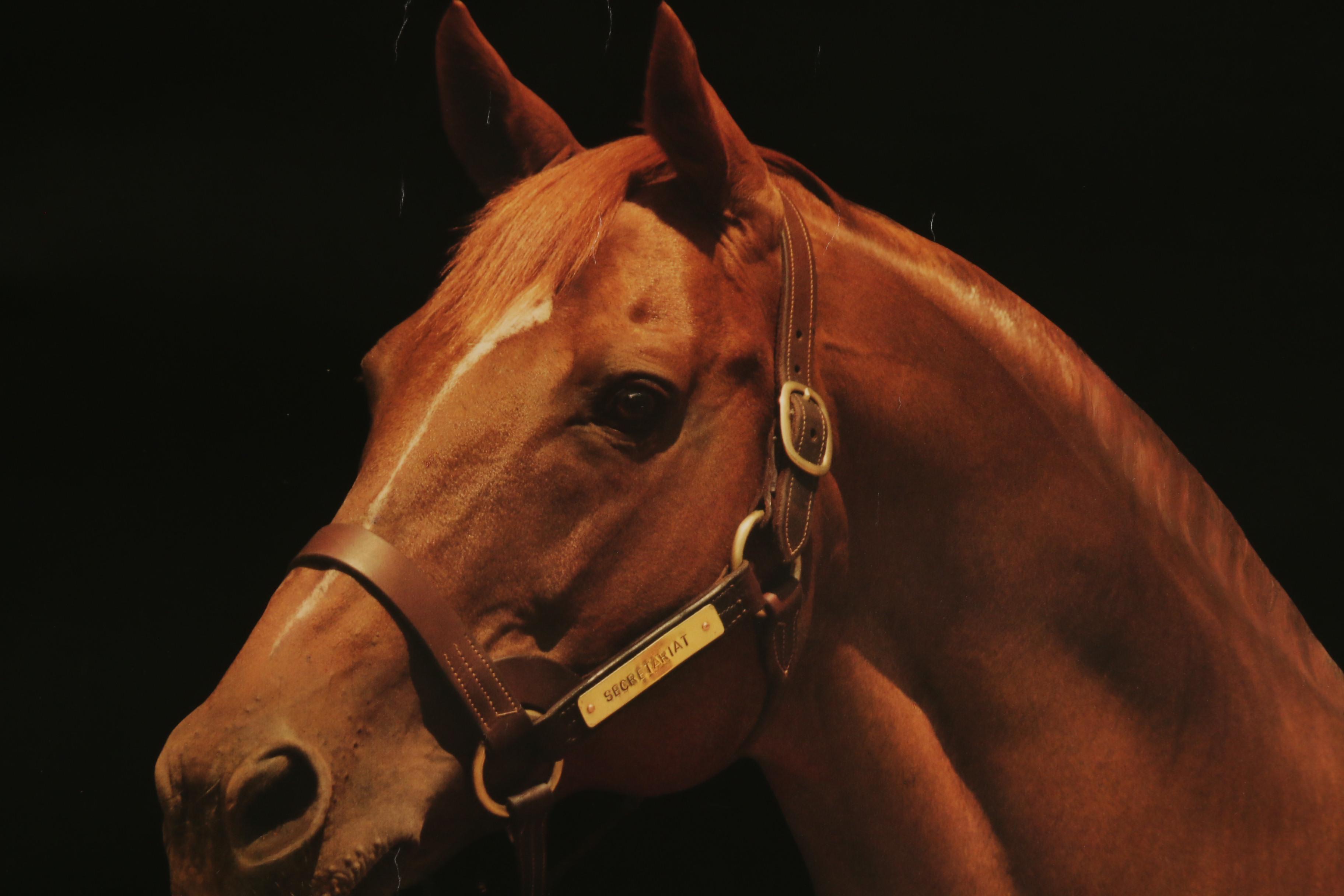 1989 Tony Leonard Signed Secretariat "His Last Portrait" Print