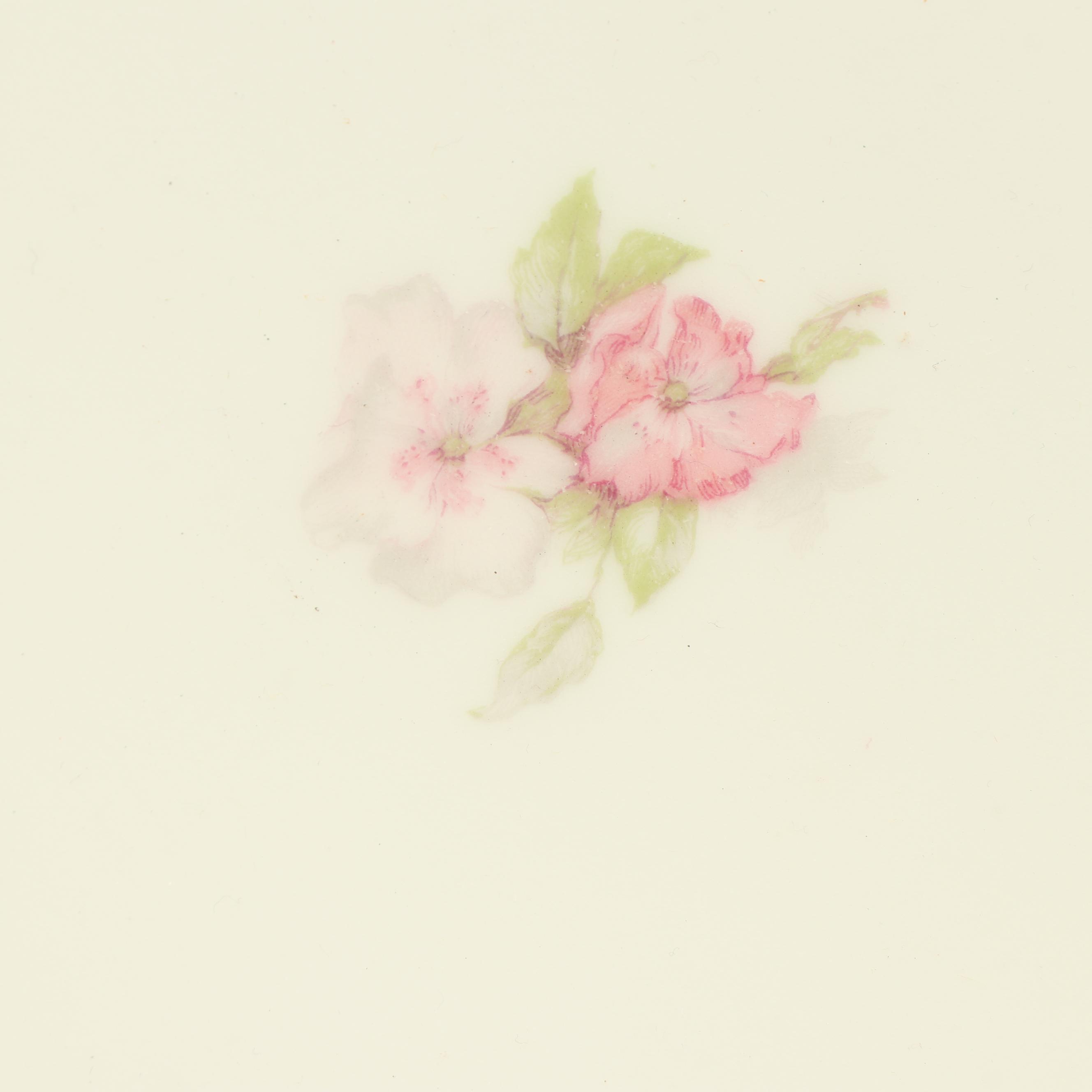 Haviland & Co. Limoges Floral Dinnerware Service, Early 20th Century