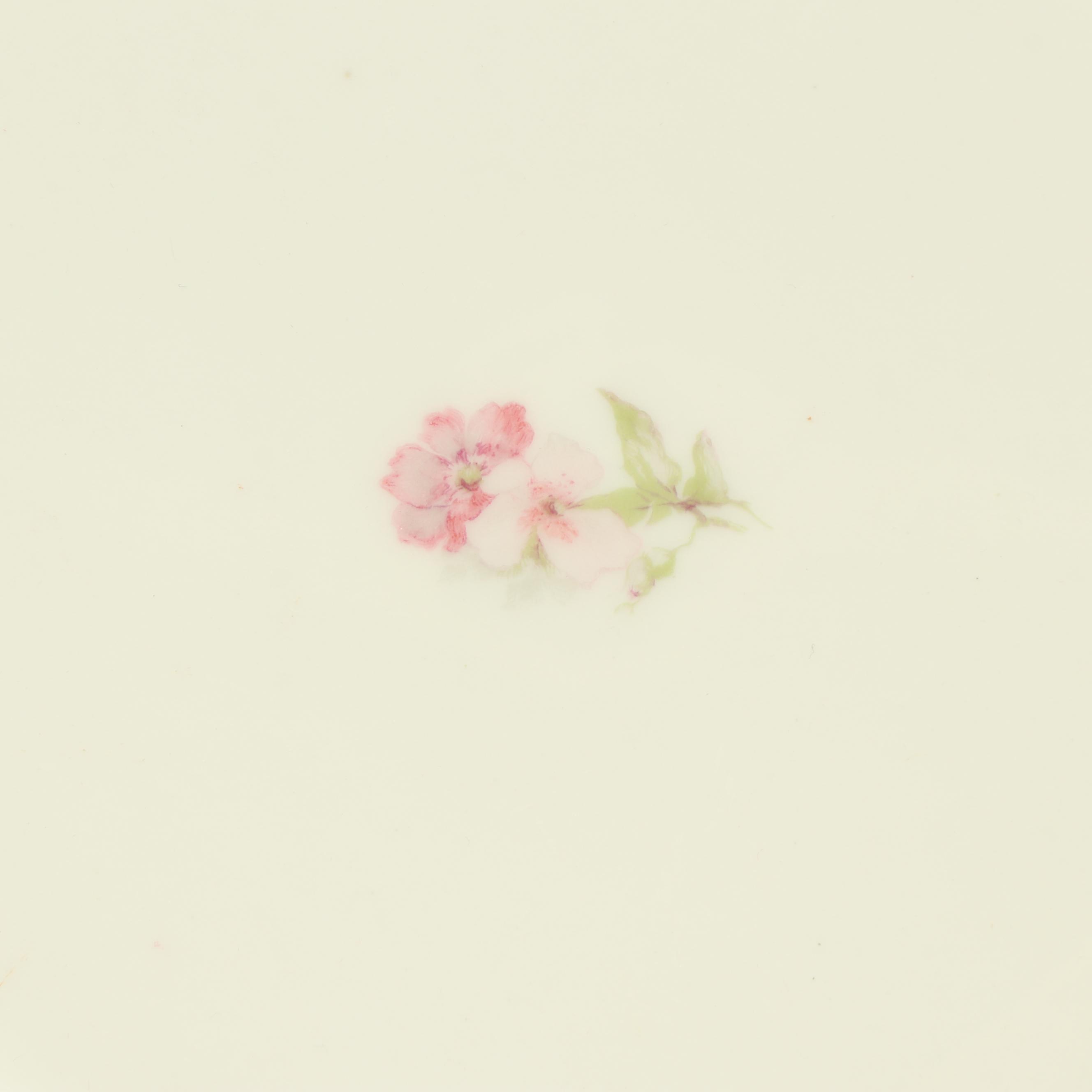 Haviland & Co. Limoges Floral Dinnerware, Service for Six, Early 20th Century