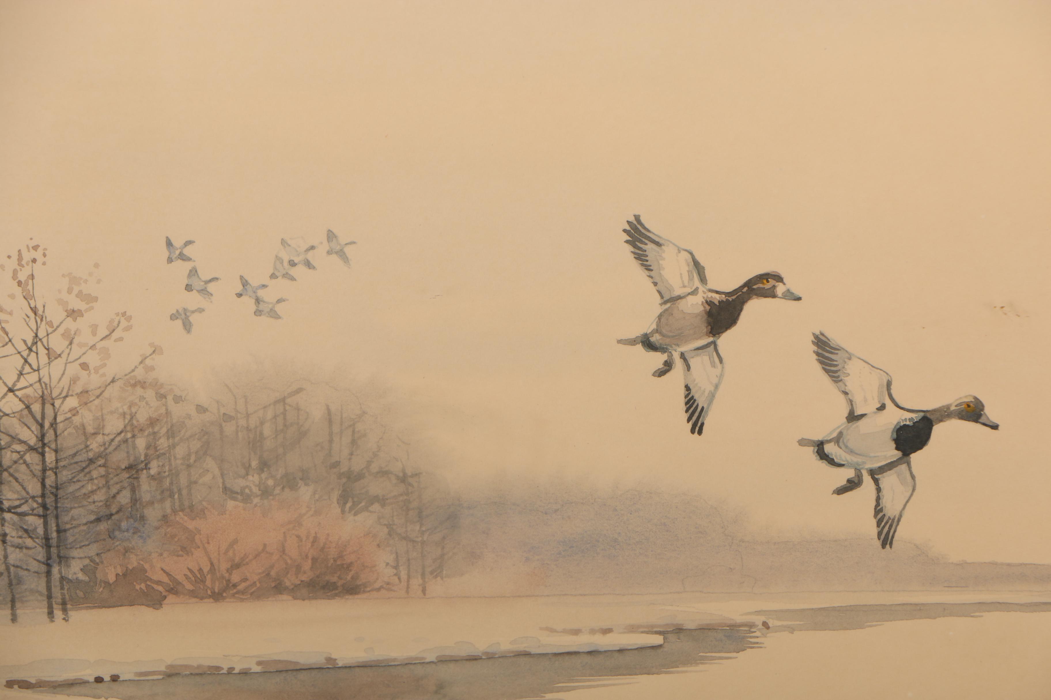 John Sudy Watercolor Painting of Flying Ducks