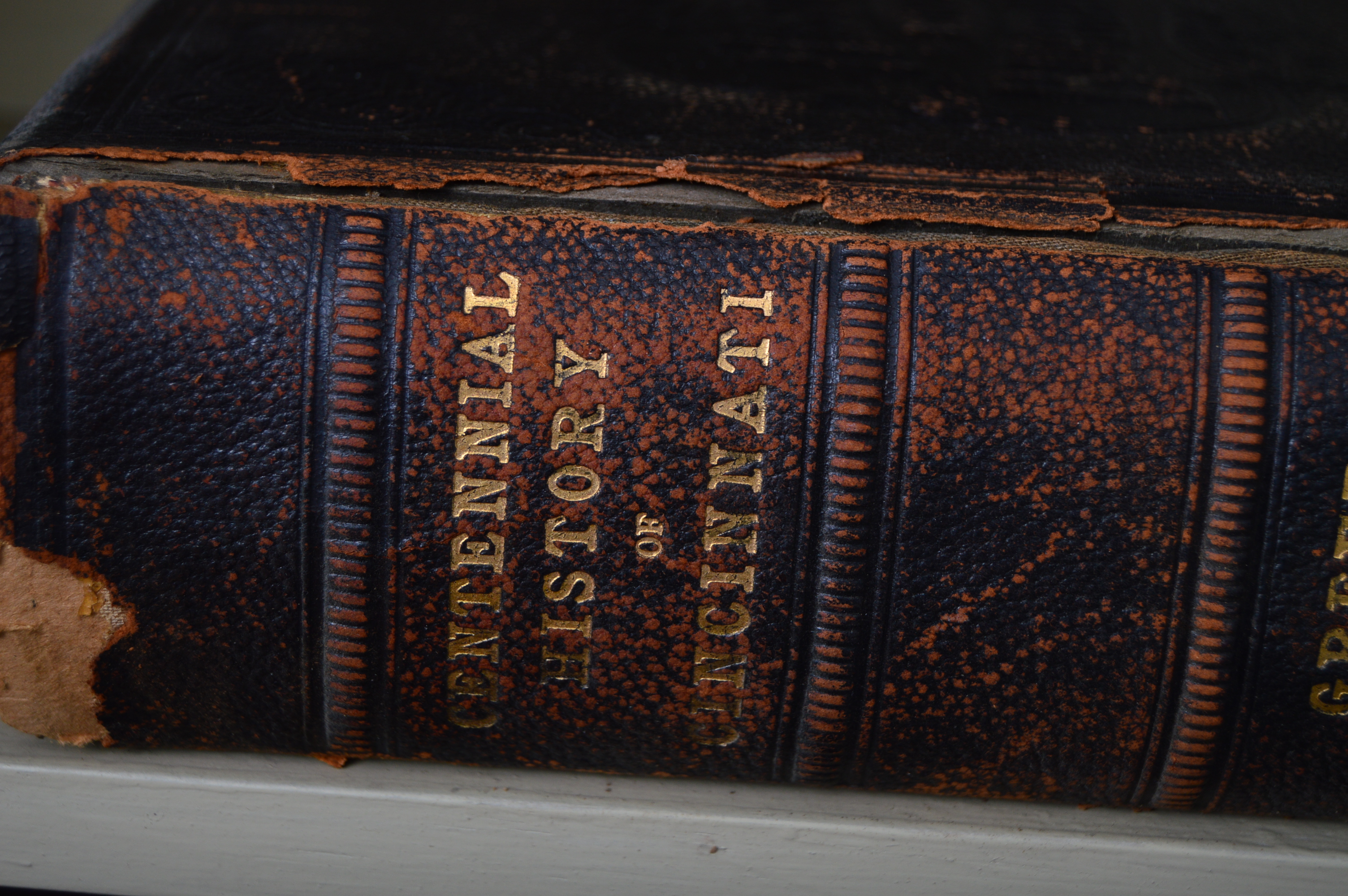 "Centennial History of Cincinnati" by Charles Greve, circa 1904