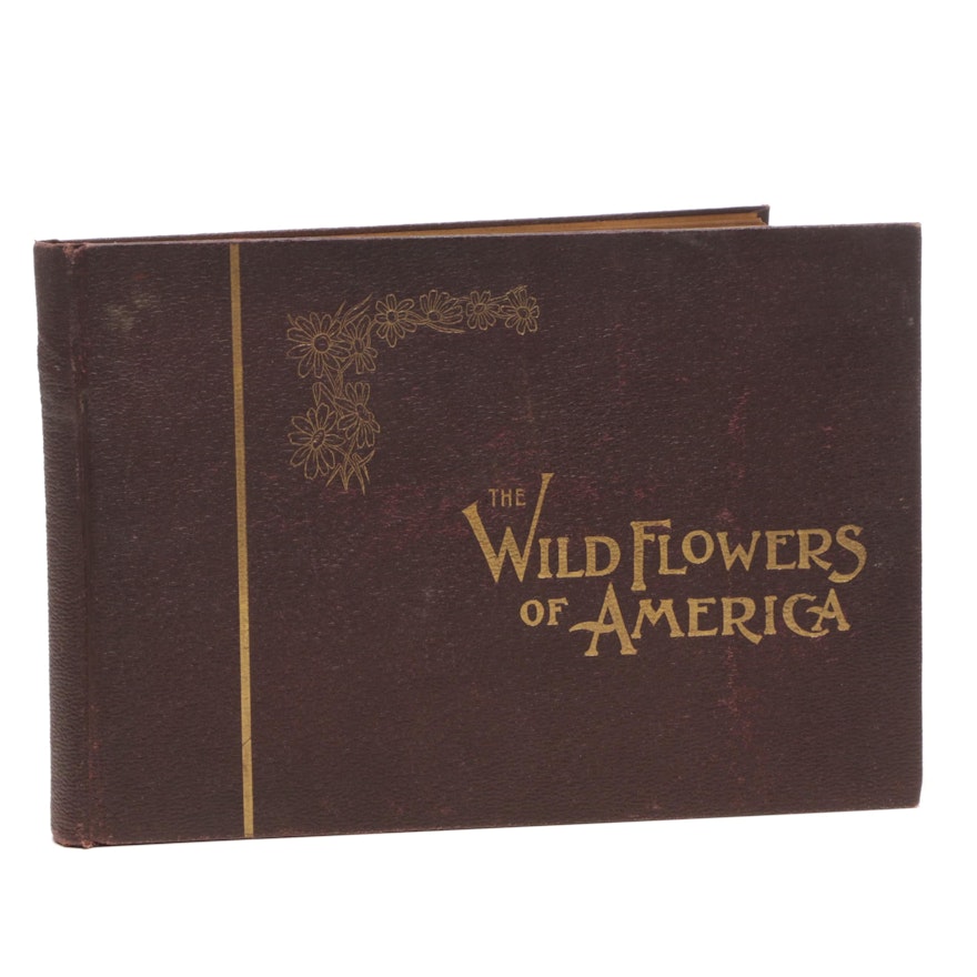 1894 "Wild Flowers of America" by Corp of Special Artists and Botanists
