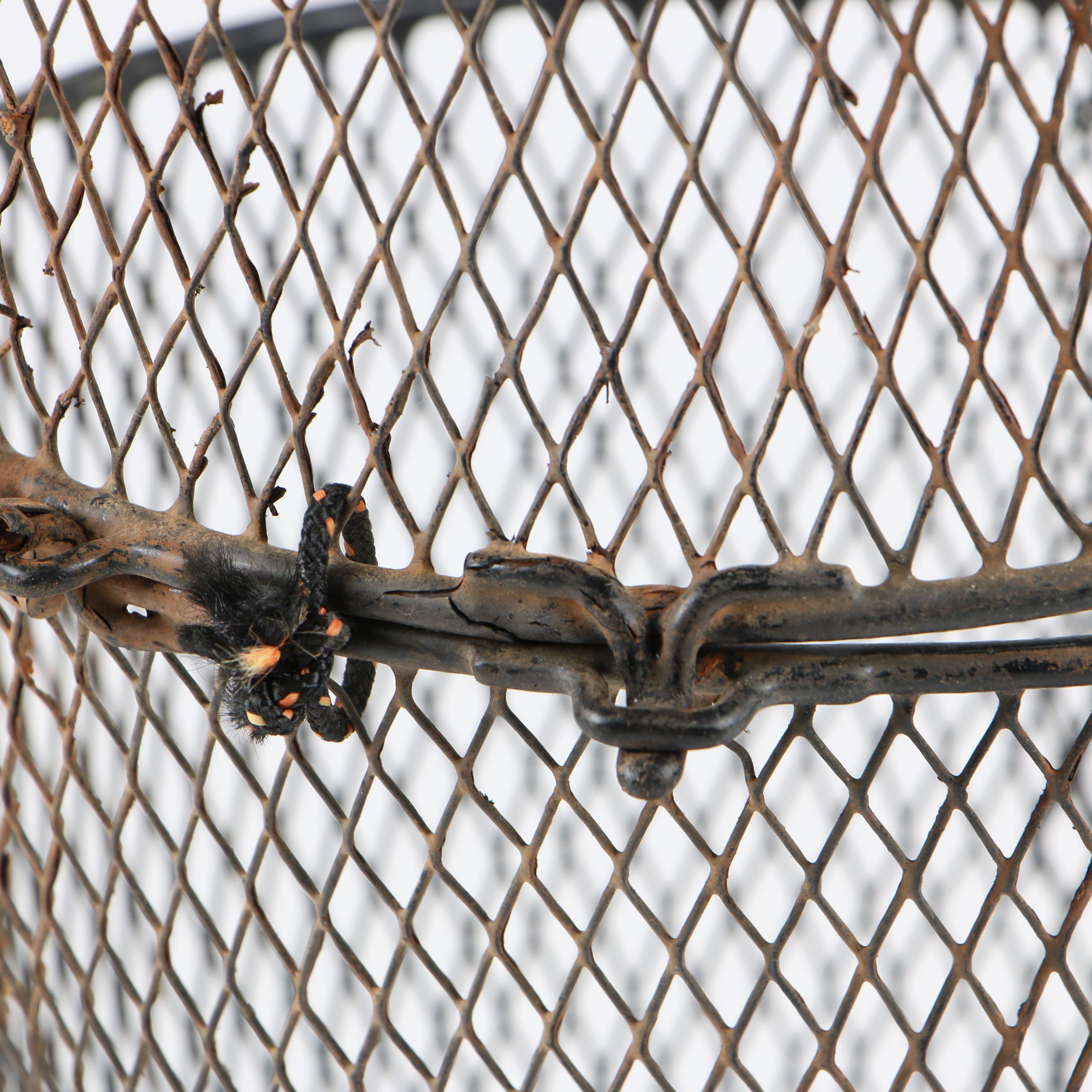 Wire Mesh Minnow Trap, Mid-Century