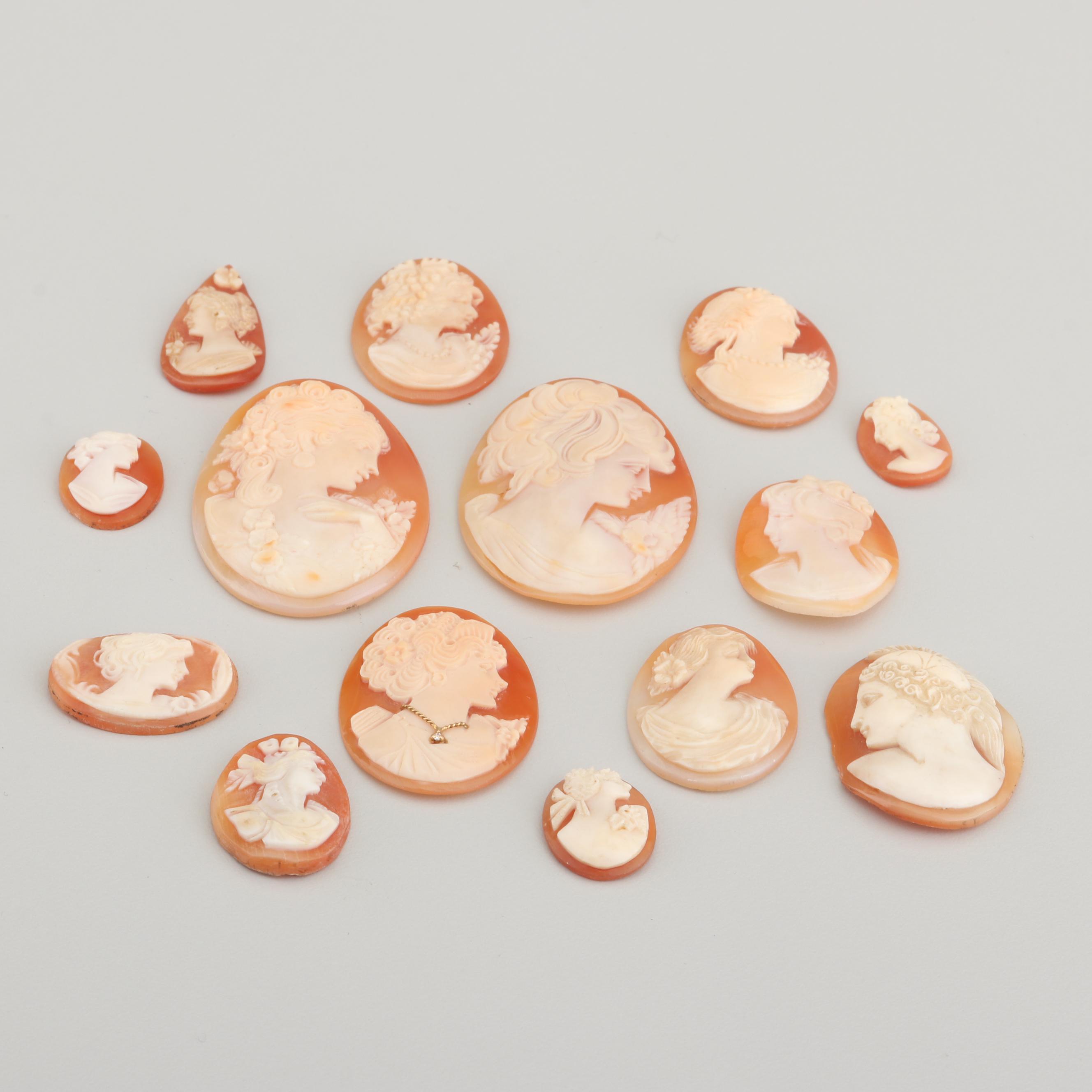 Loose Carved Shell Cameos Including Habille