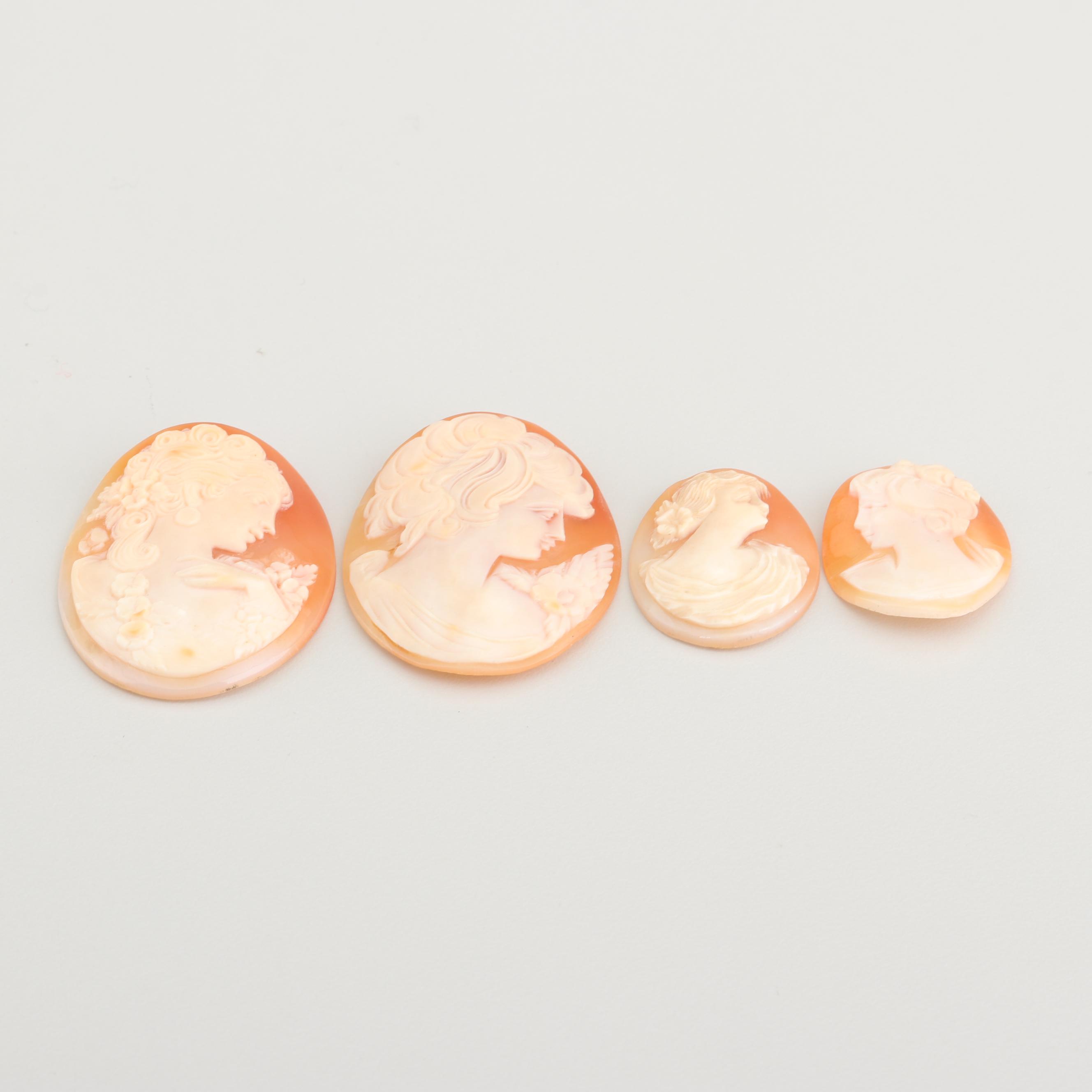 Loose Carved Shell Cameos Including Habille