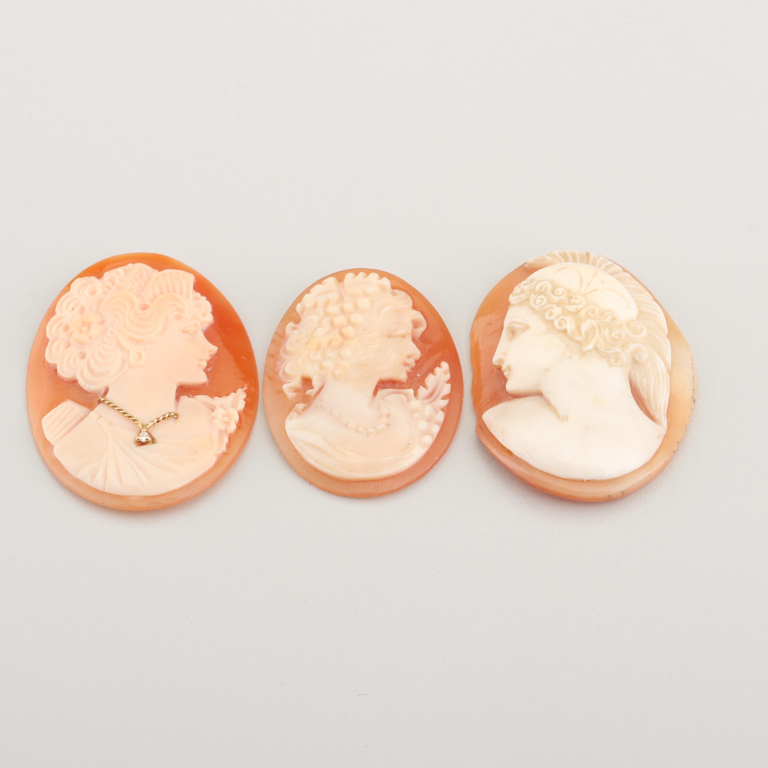 Loose Carved Shell Cameos Including Habille