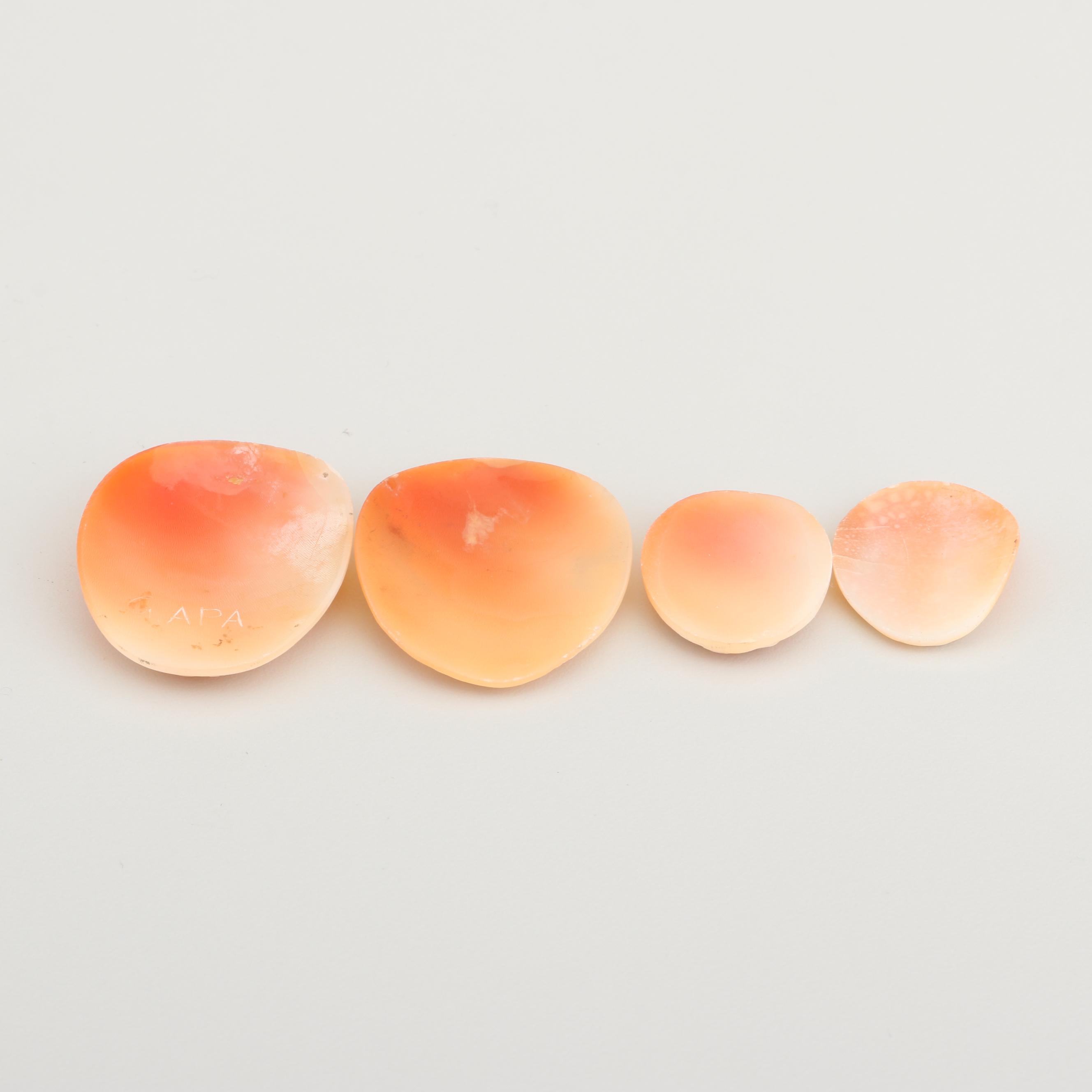 Loose Carved Shell Cameos Including Habille