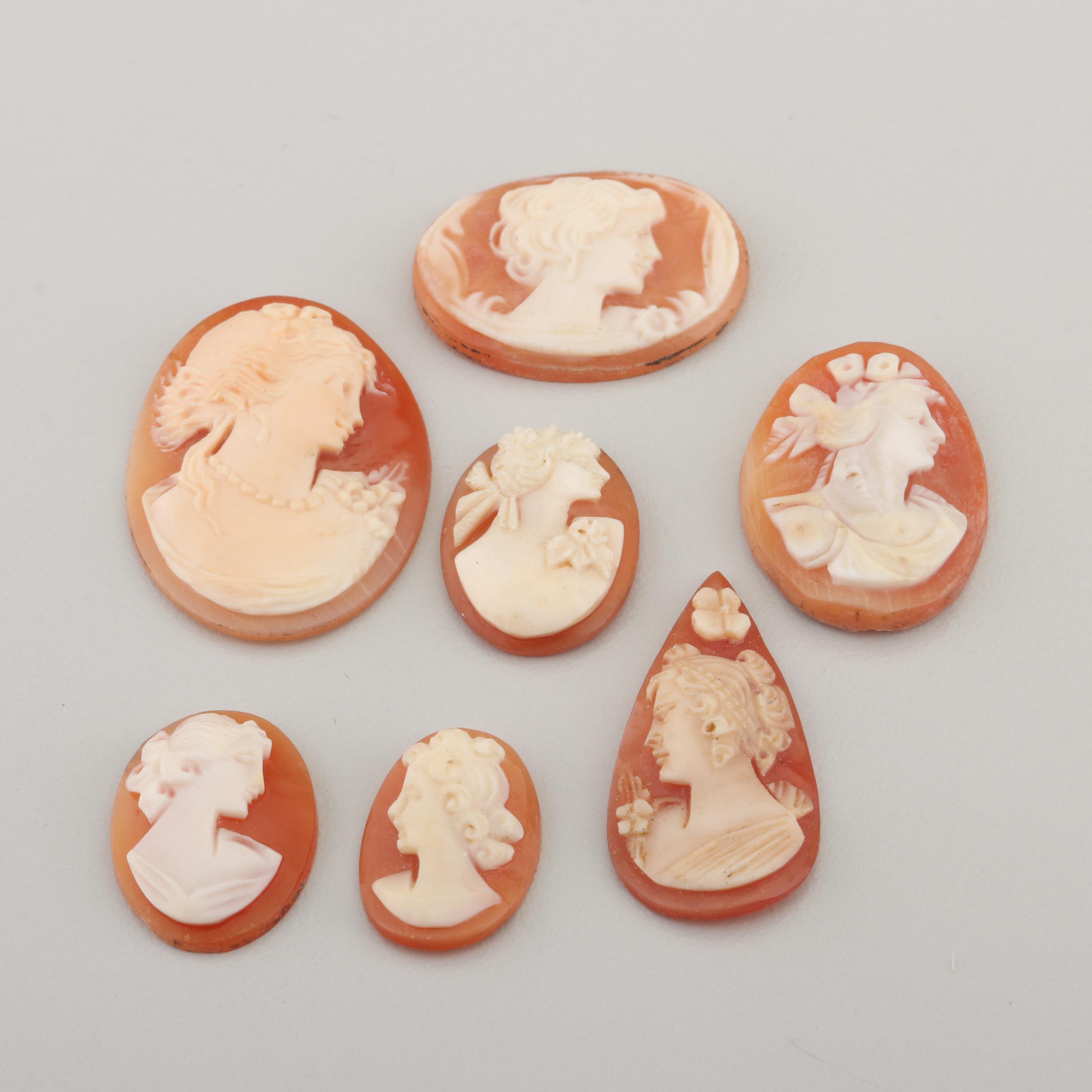 Loose Carved Shell Cameos Including Habille