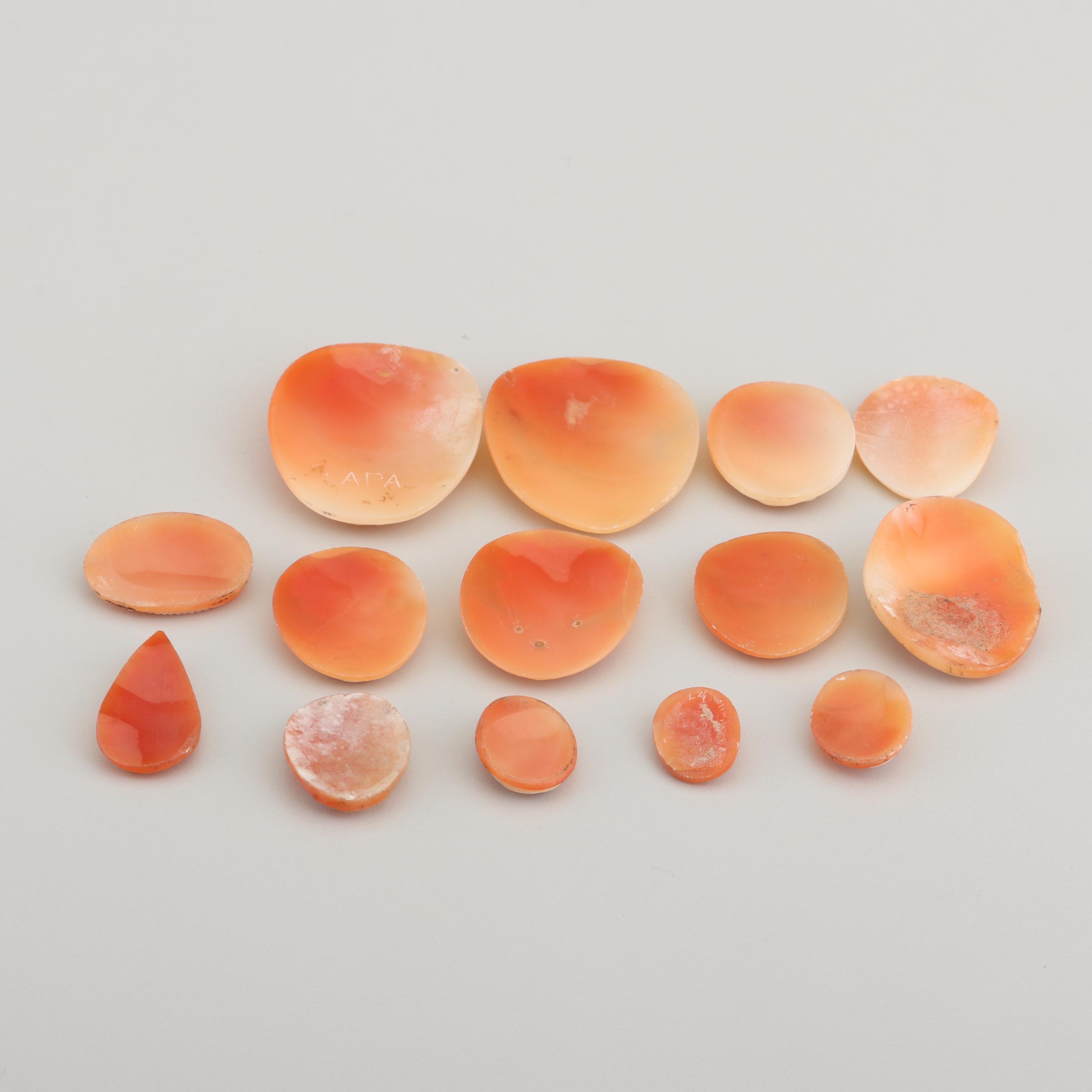 Loose Carved Shell Cameos Including Habille