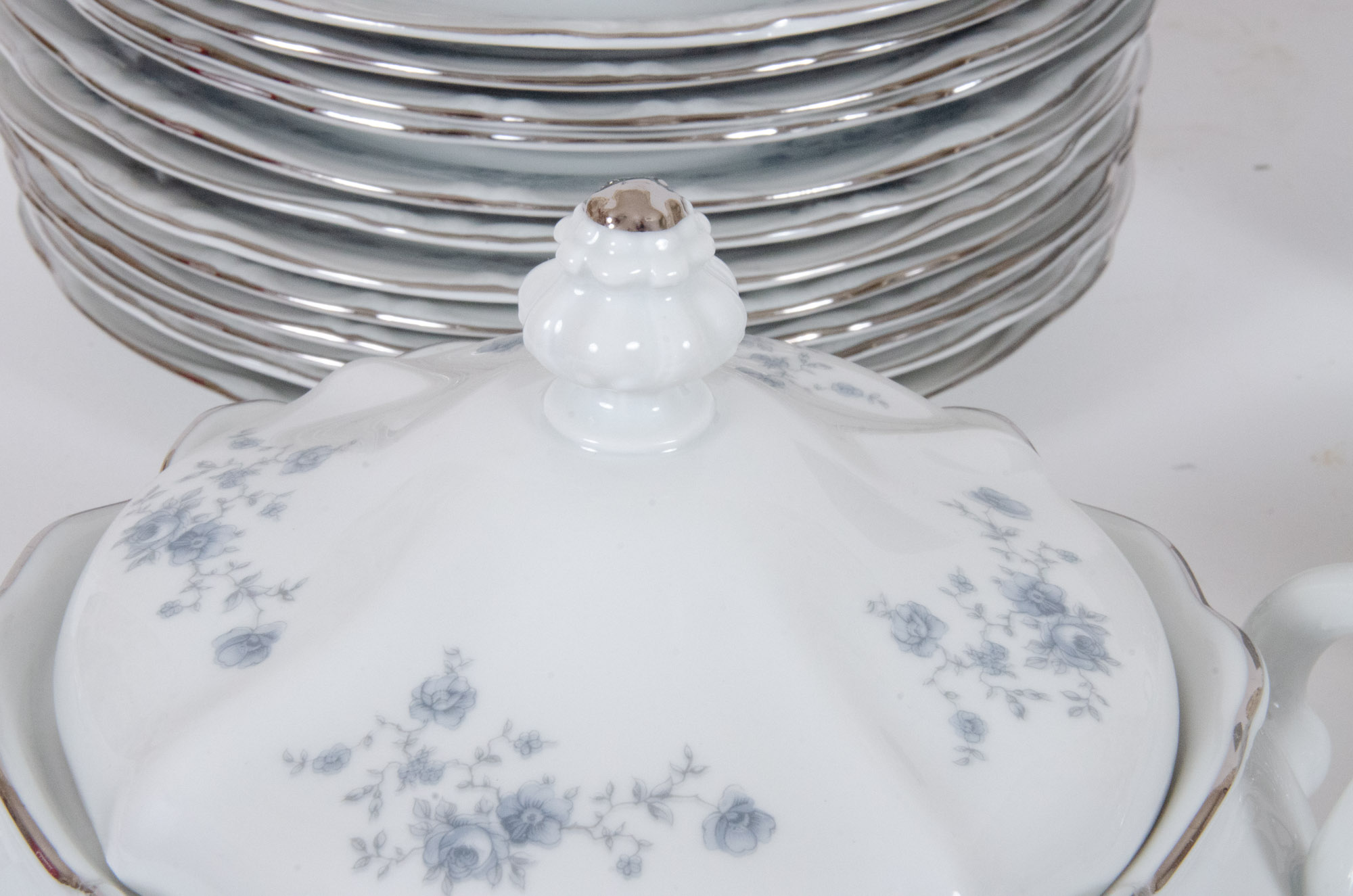 Johann Haviland "Blue Garland" China Dinnerware