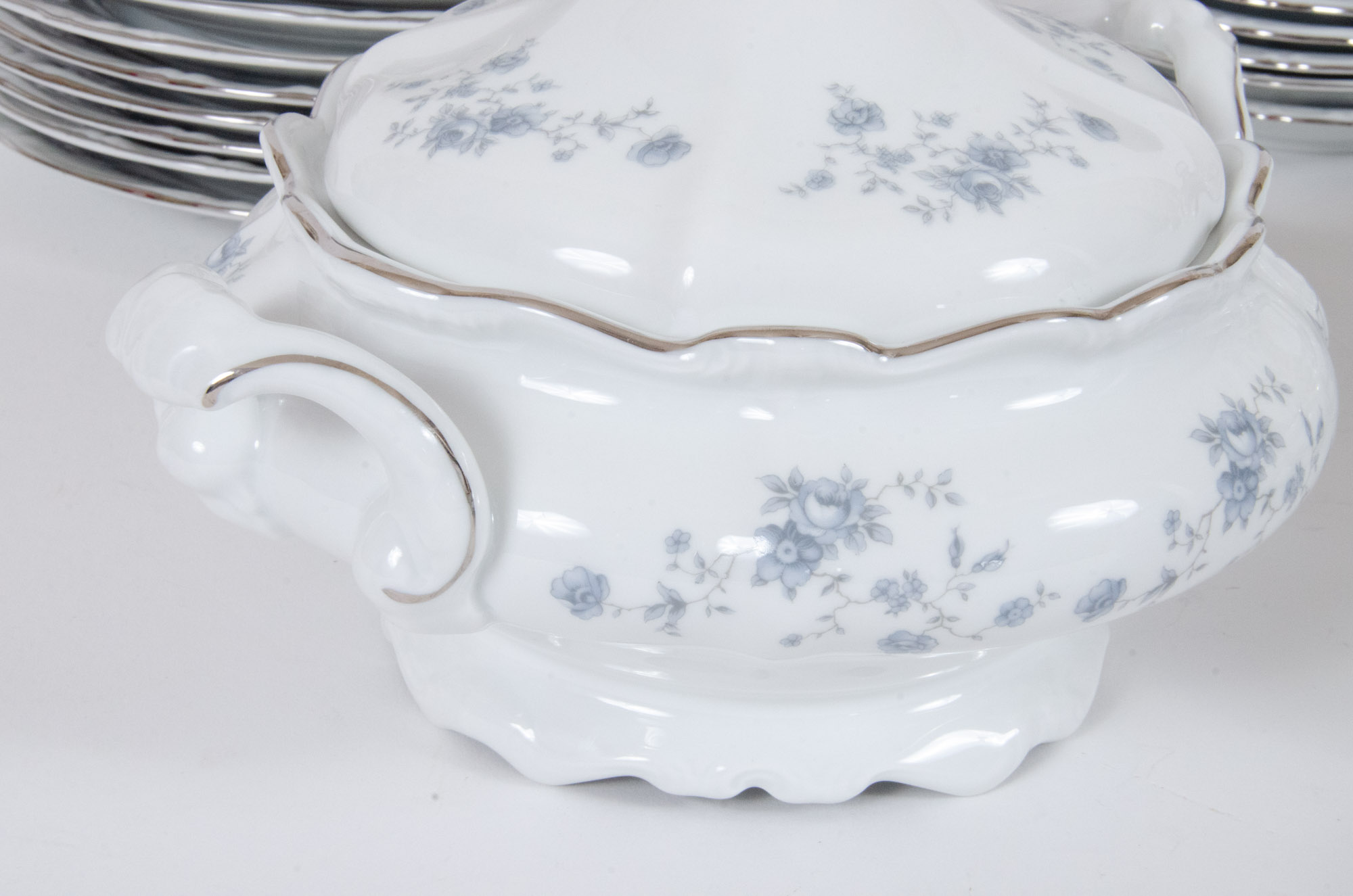 Johann Haviland "Blue Garland" China Dinnerware