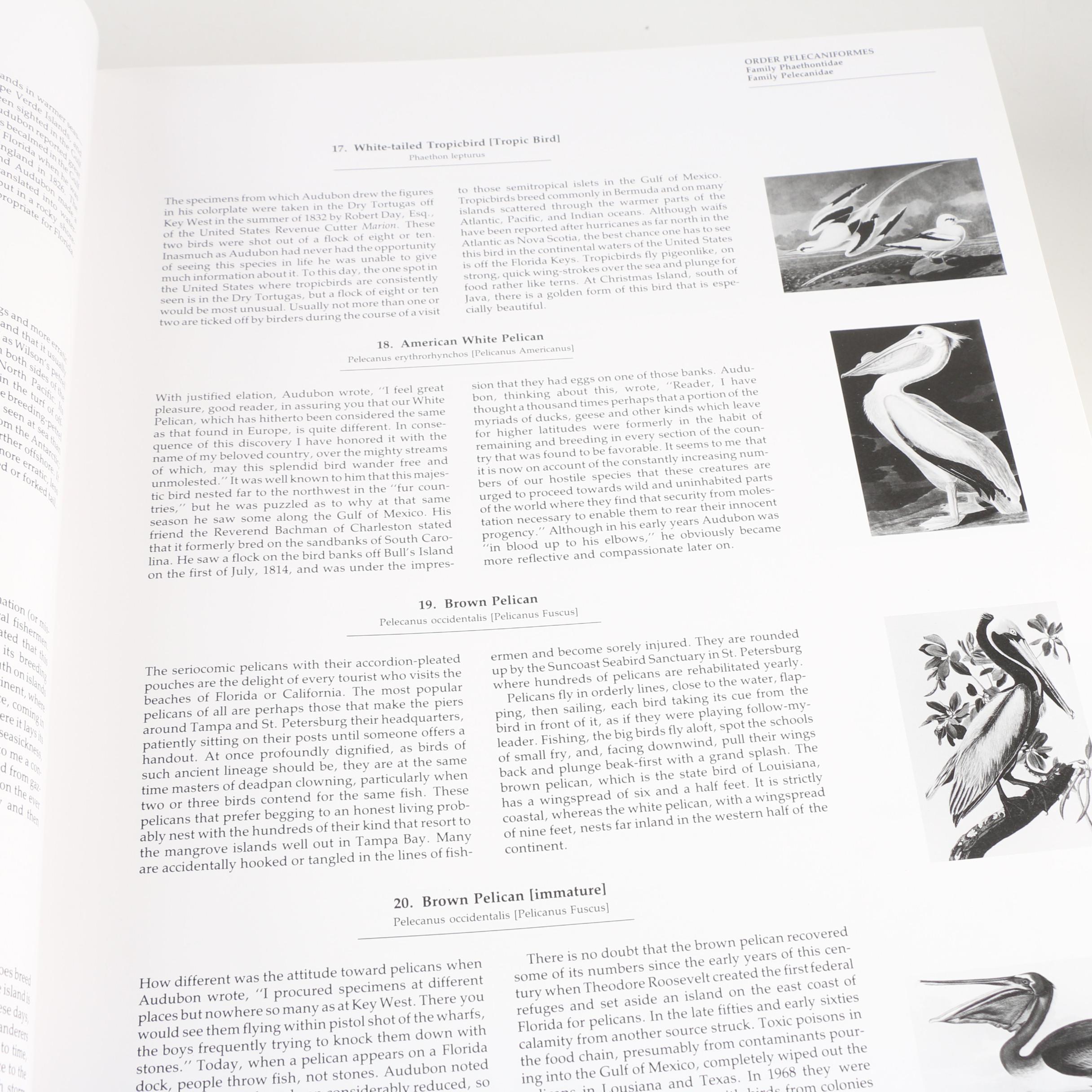 Second Edition "Audubon's Birds of America" Baby Elephant Folio, 1981