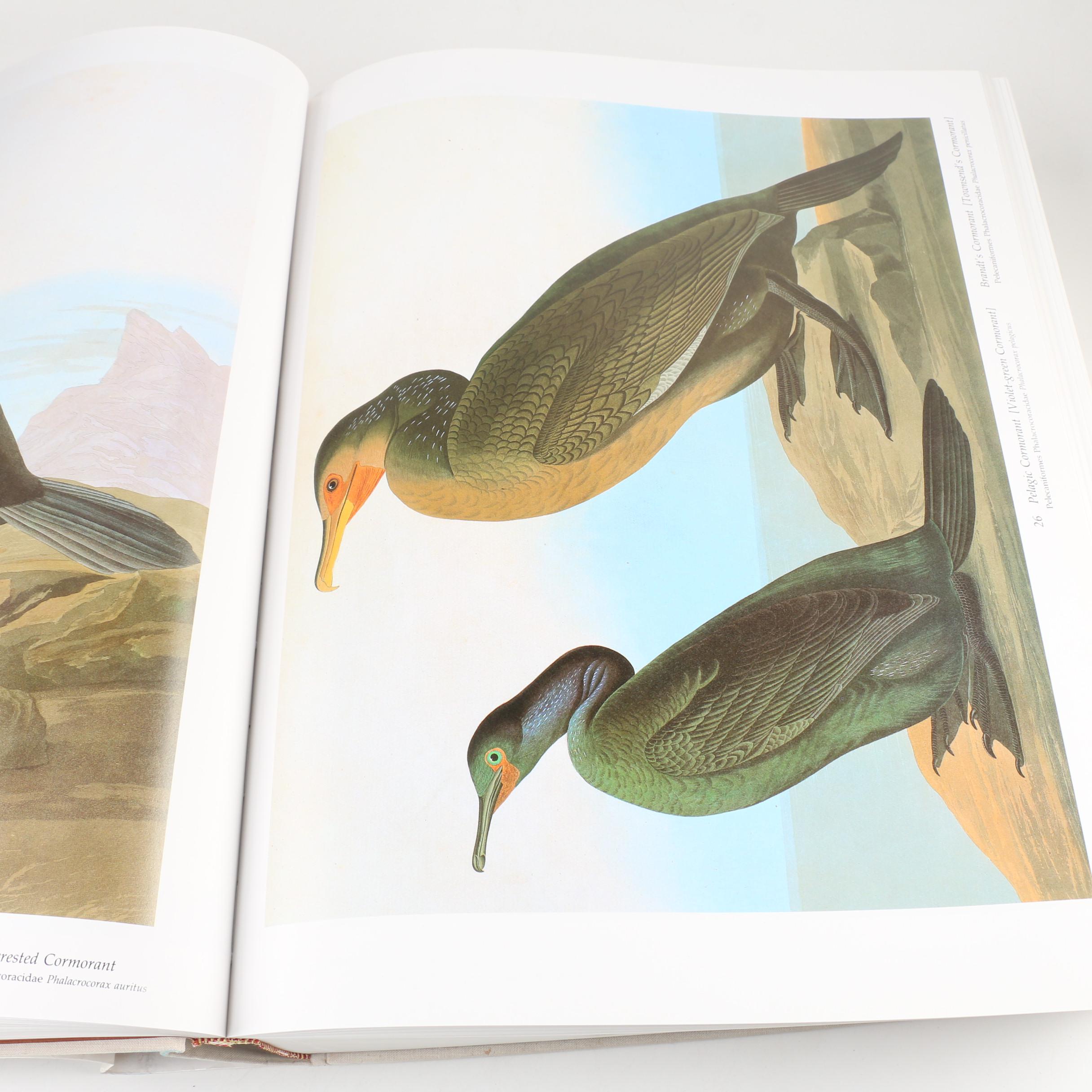 Second Edition "Audubon's Birds of America" Baby Elephant Folio, 1981