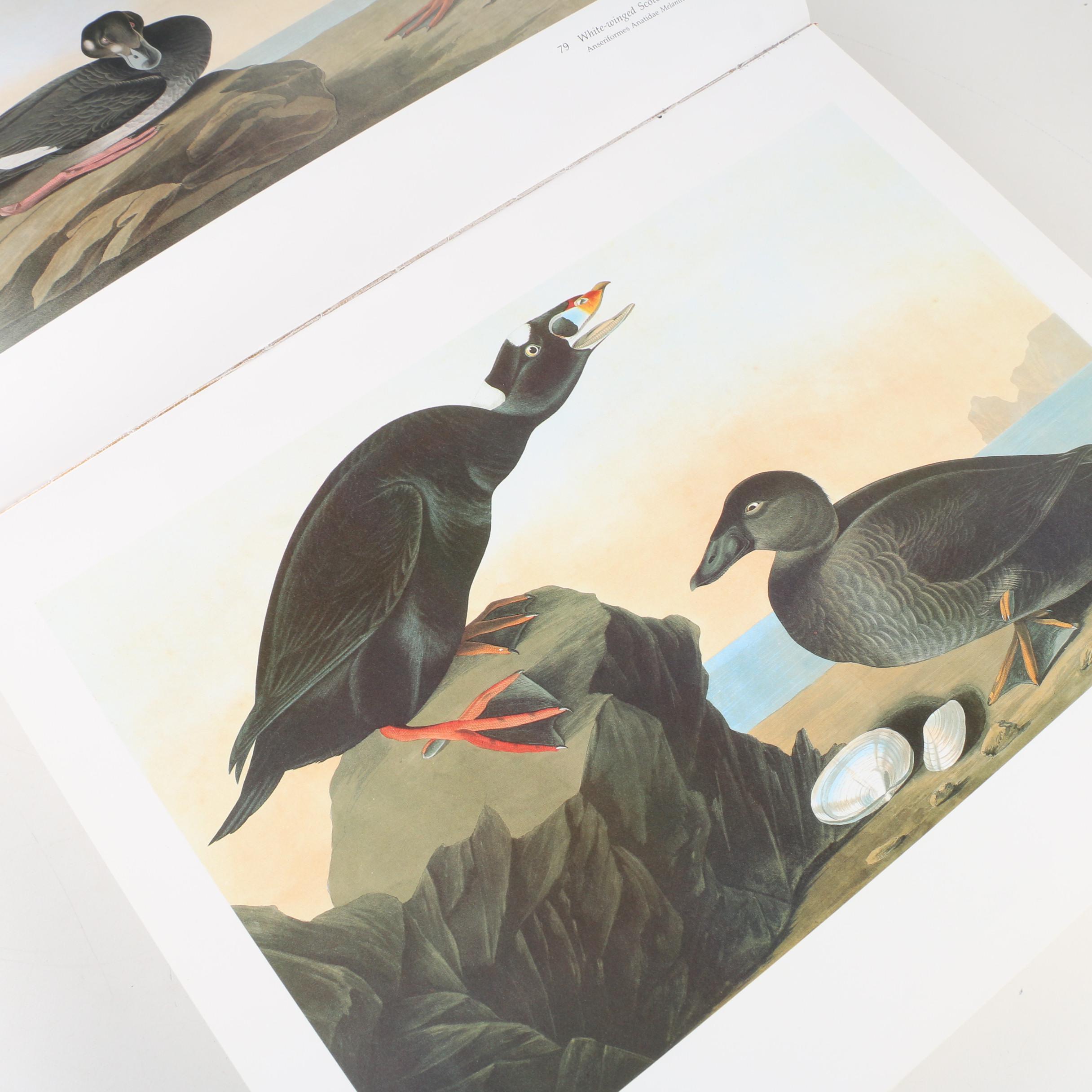 Second Edition "Audubon's Birds of America" Baby Elephant Folio, 1981