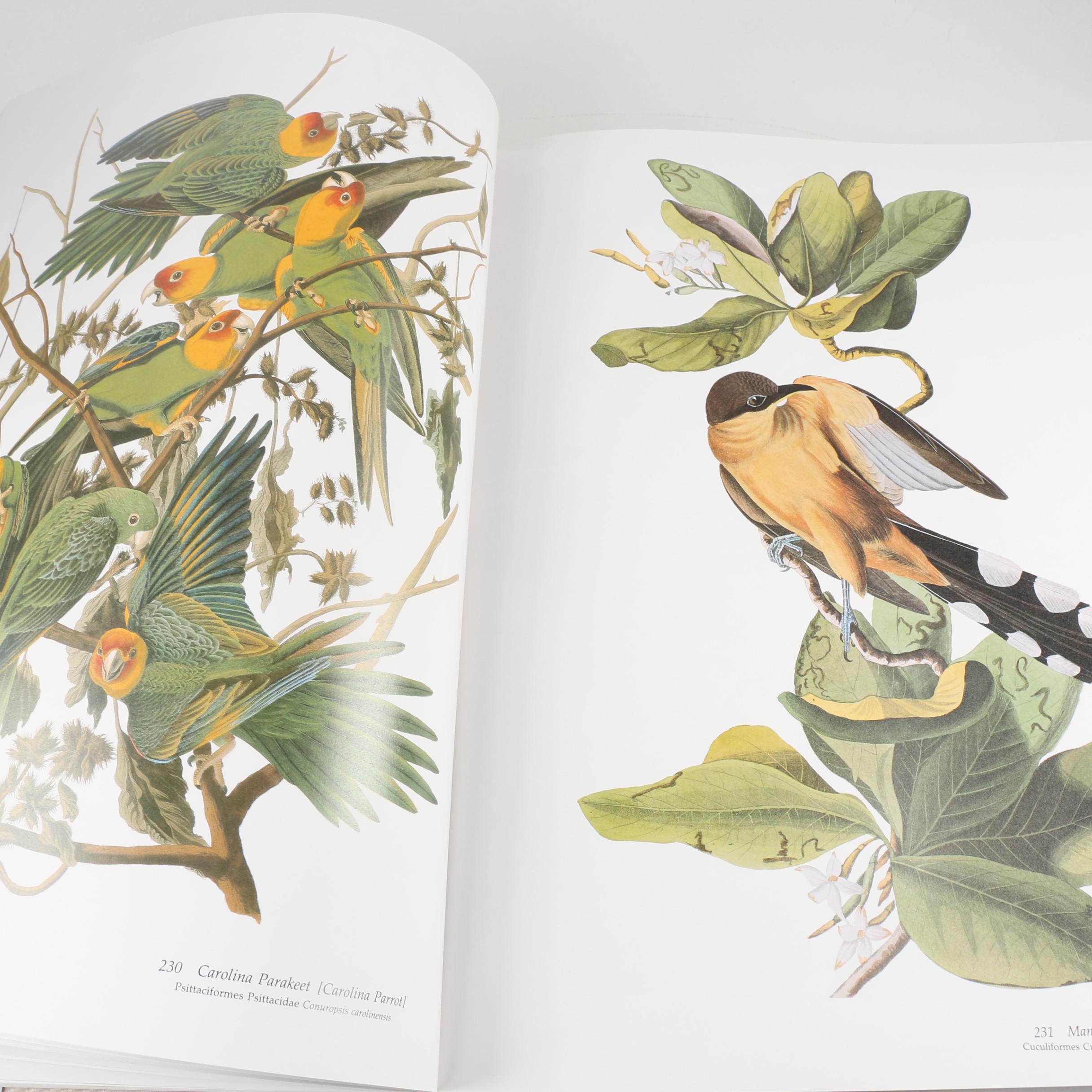 Second Edition "Audubon's Birds of America" Baby Elephant Folio, 1981