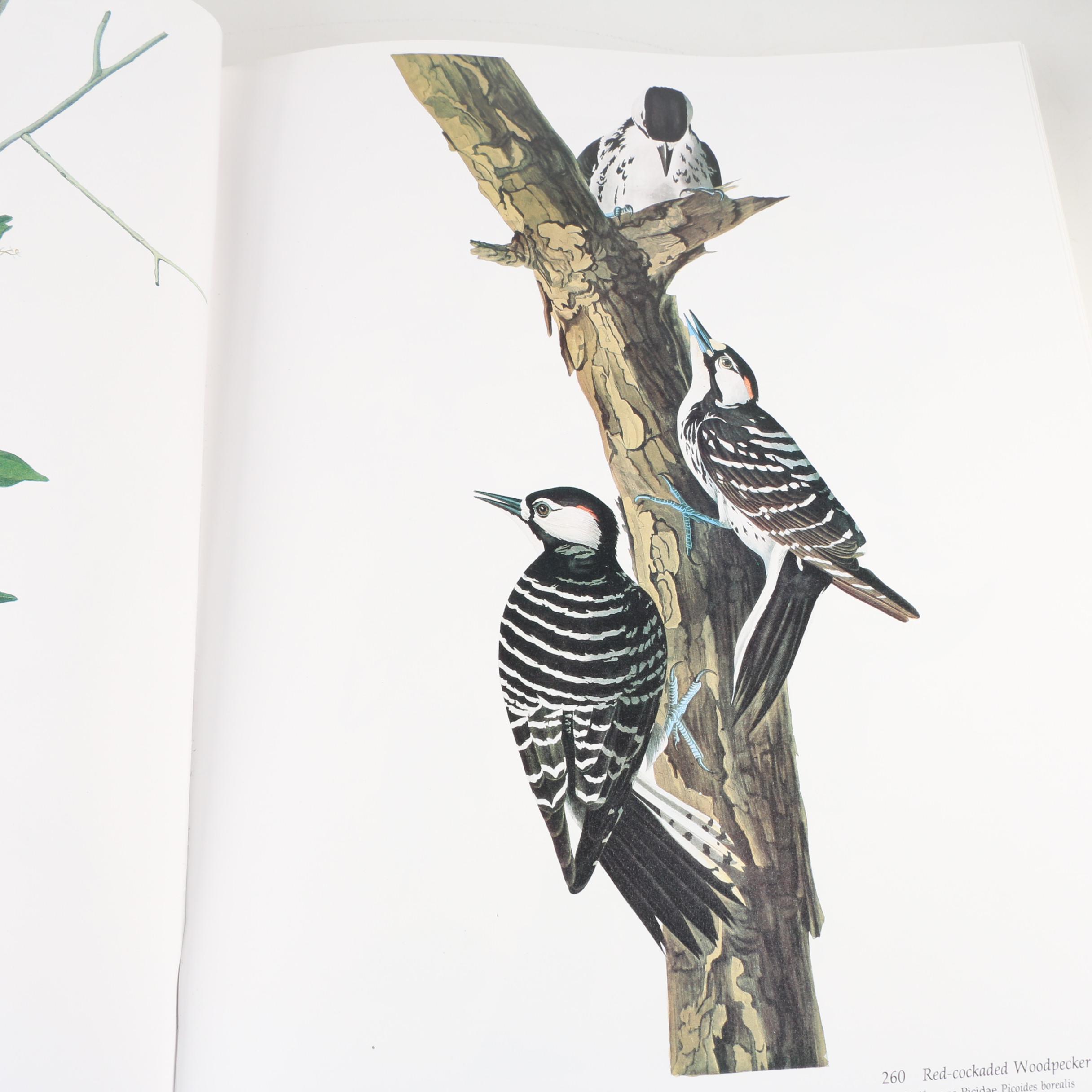 Second Edition "Audubon's Birds of America" Baby Elephant Folio, 1981