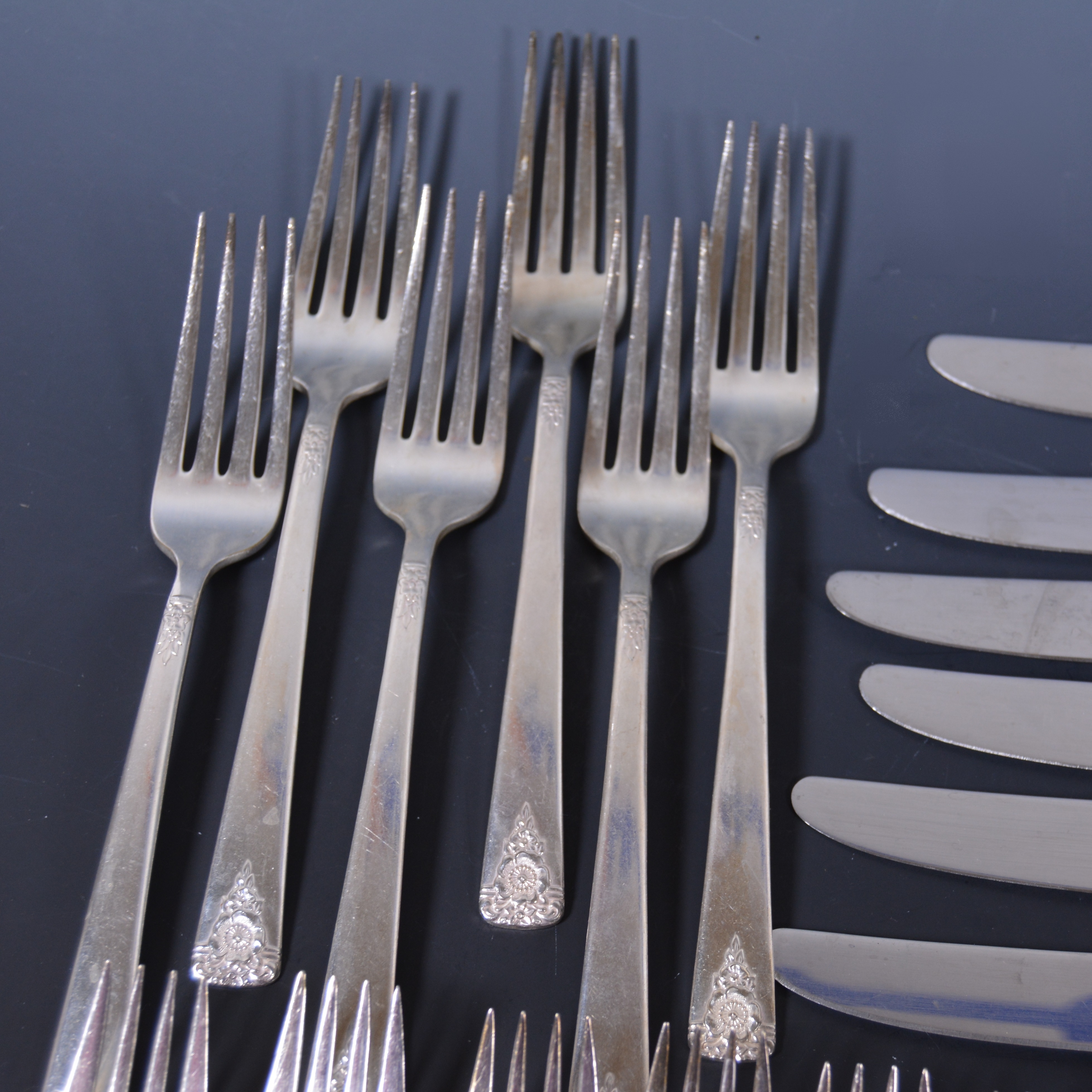 Wm Rogers/International Silver Reinforced Plate Flatware