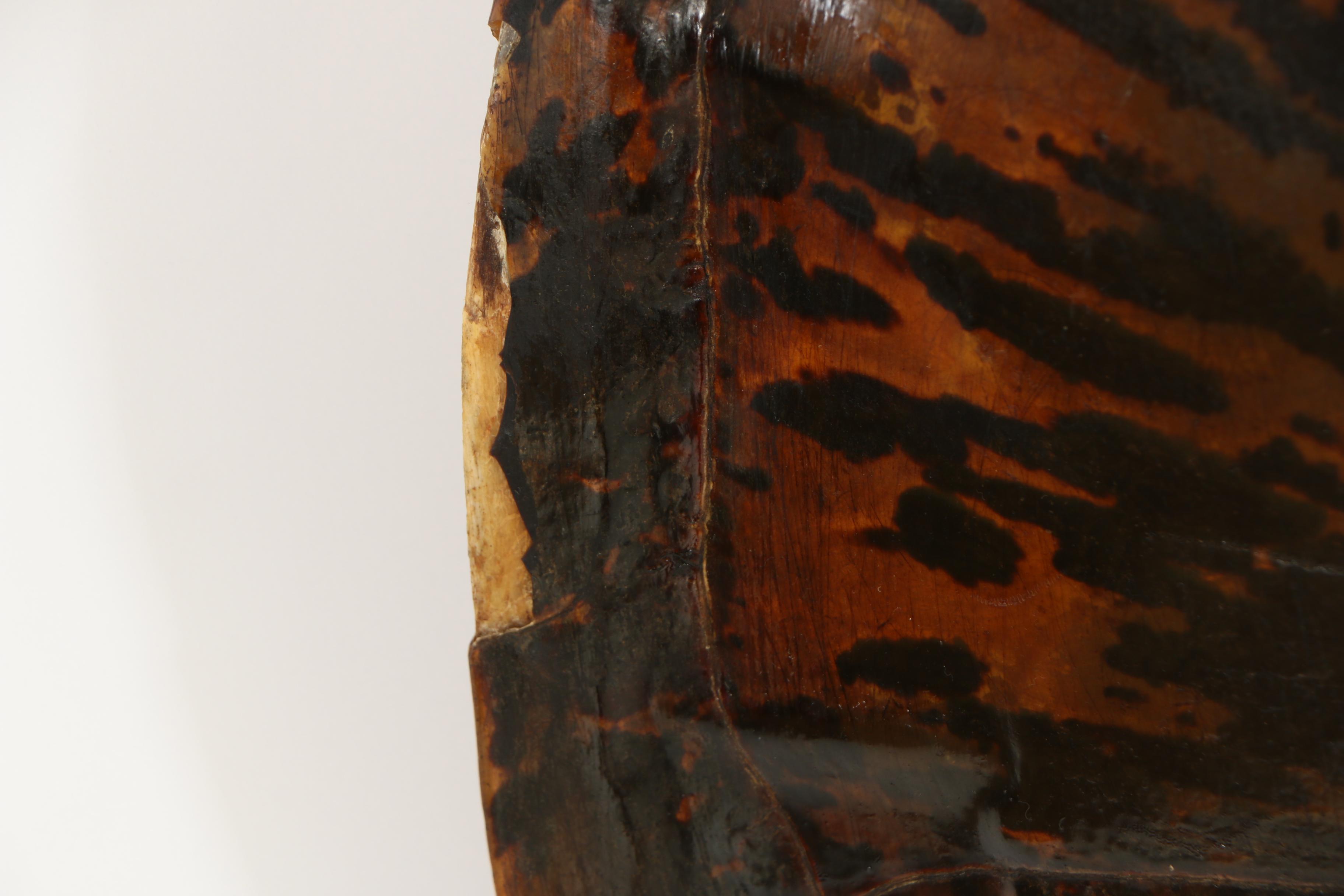 Antique Sea Turtle Shell Specimen