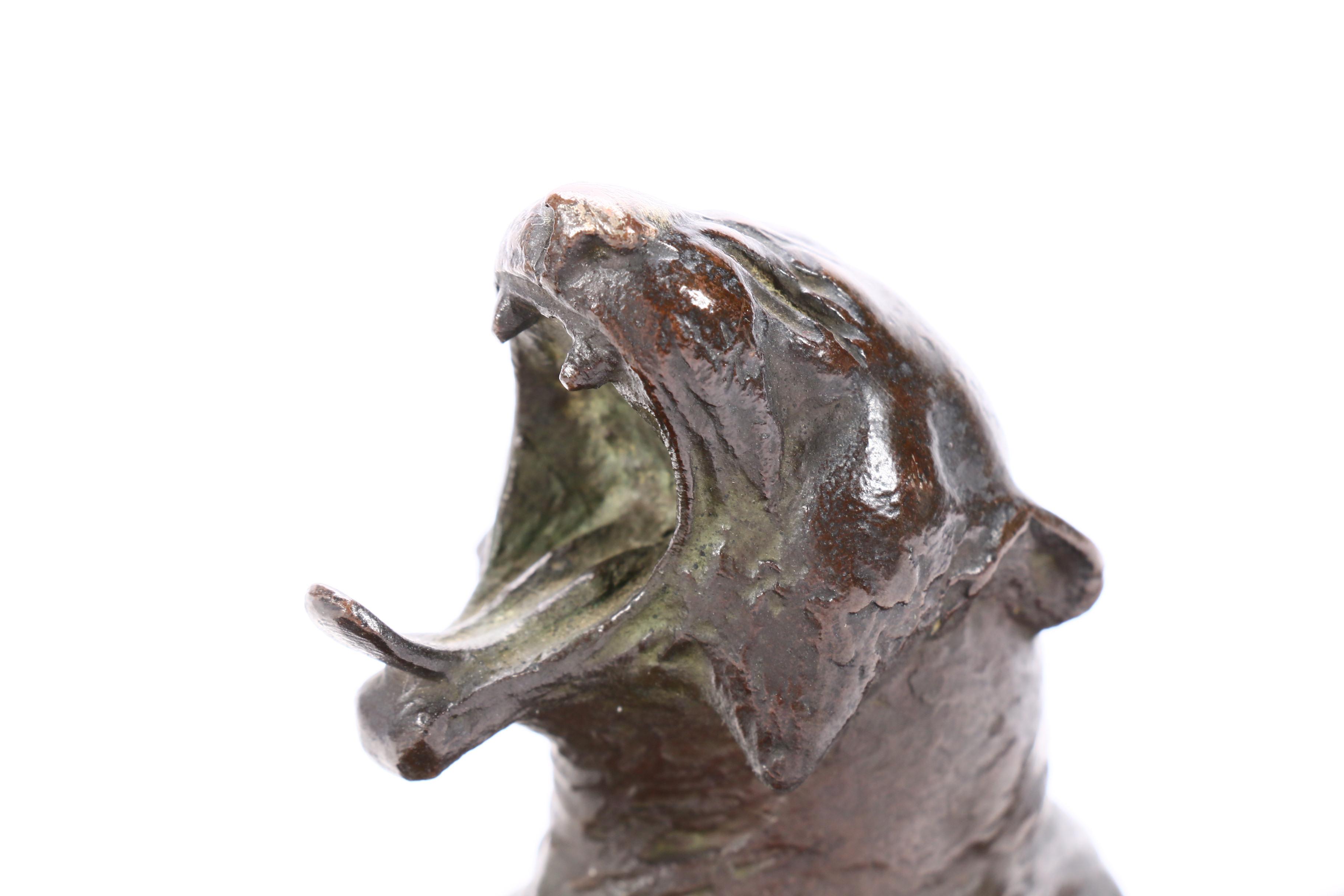 Anna Vaughn Hyatt Huntington Bronze "Yawning Tiger"