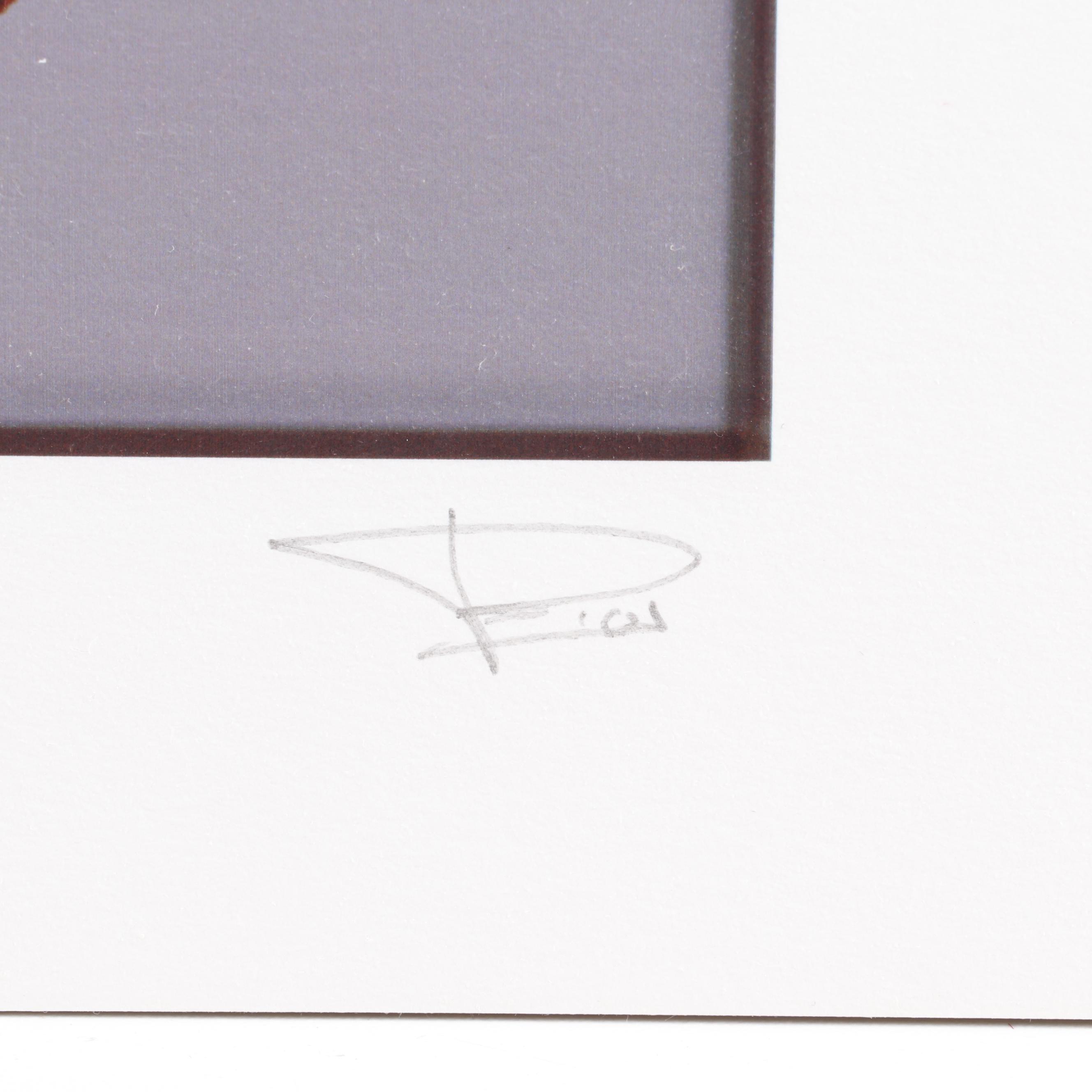 Philip Habib Digital Photographs of Roses