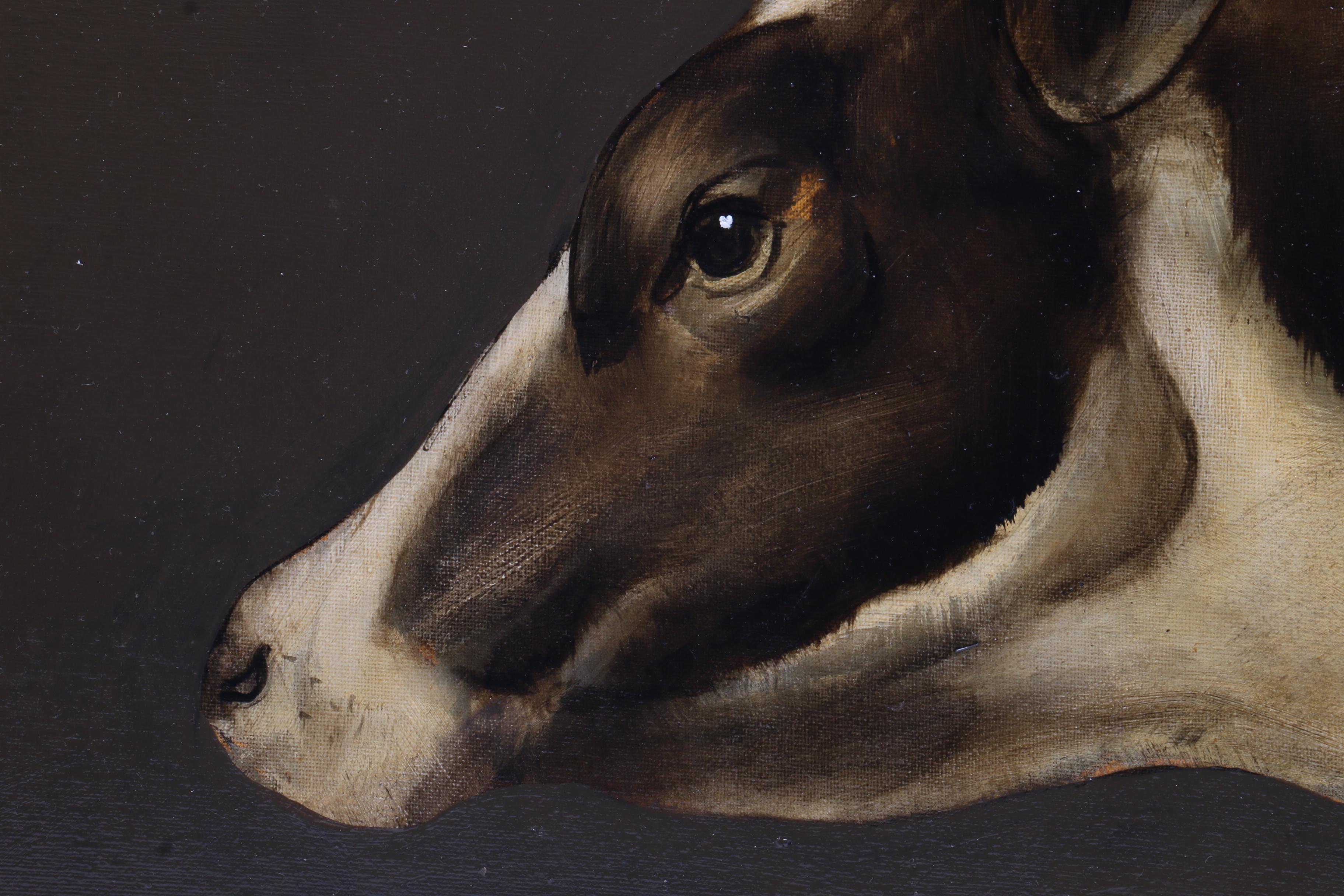David Andrews Oil Painting of Friesian Cow