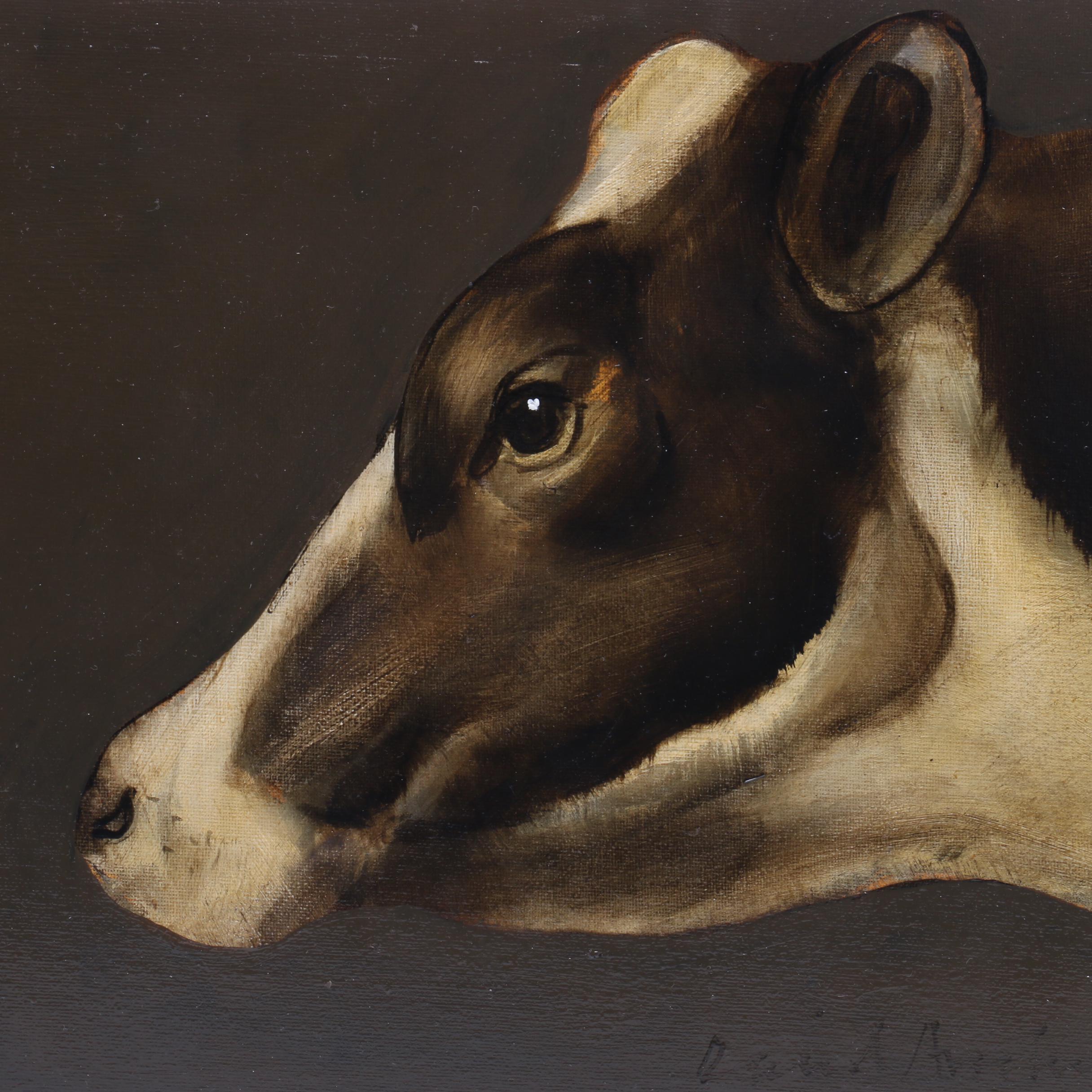 David Andrews Oil Painting of Friesian Cow