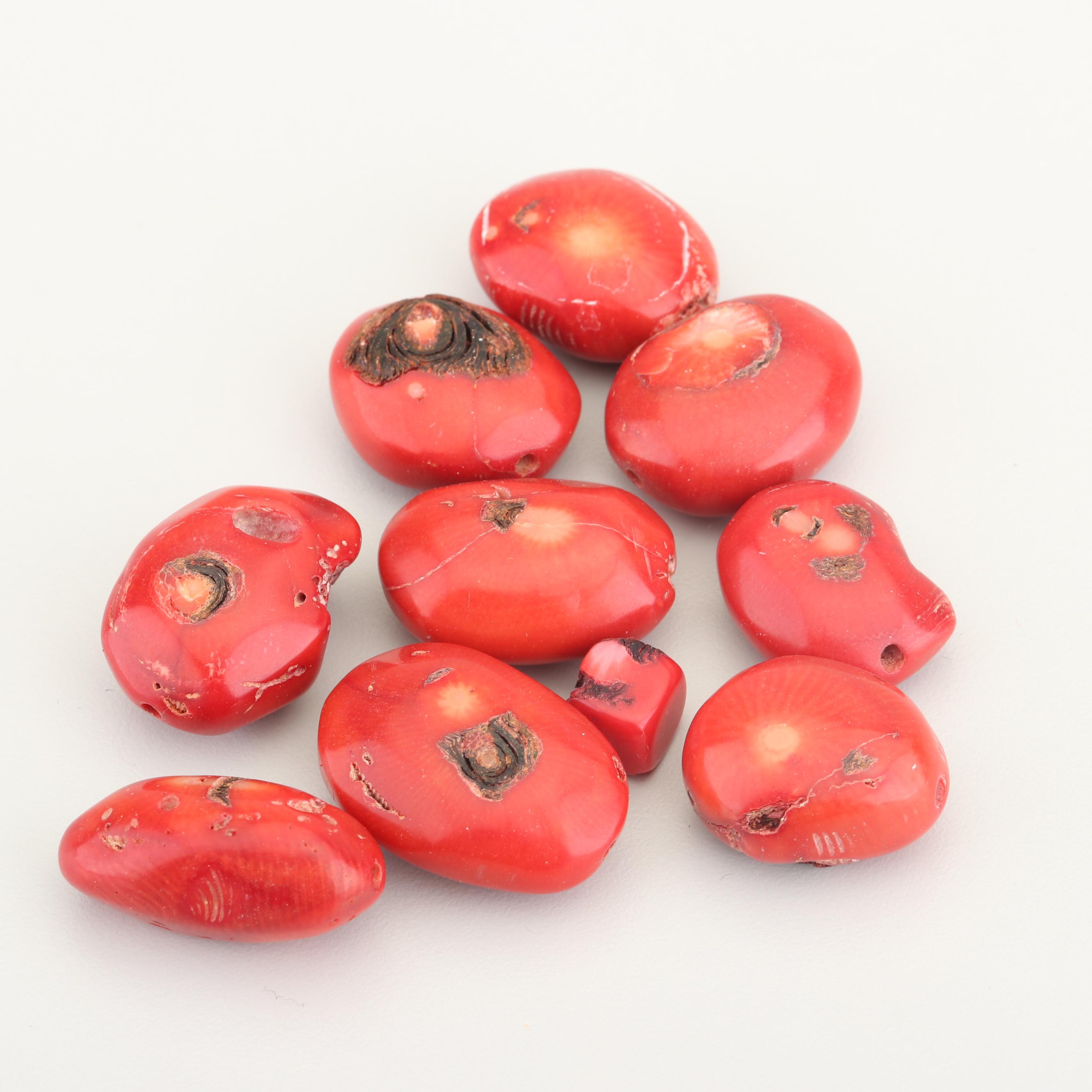 Loose Coral Beads