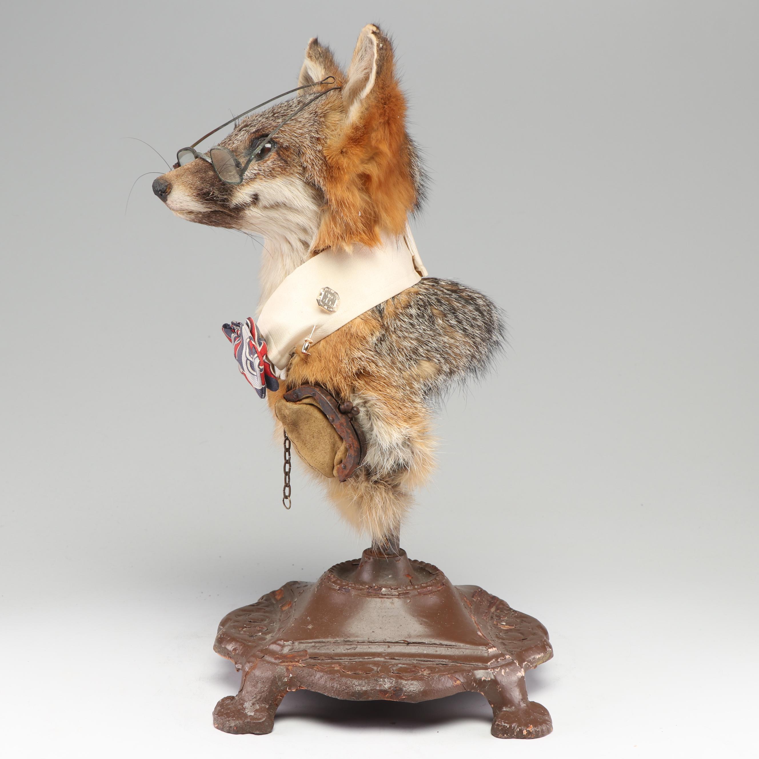"A Gentleman Fox" Taxidermy Embellished Red Fox Mount